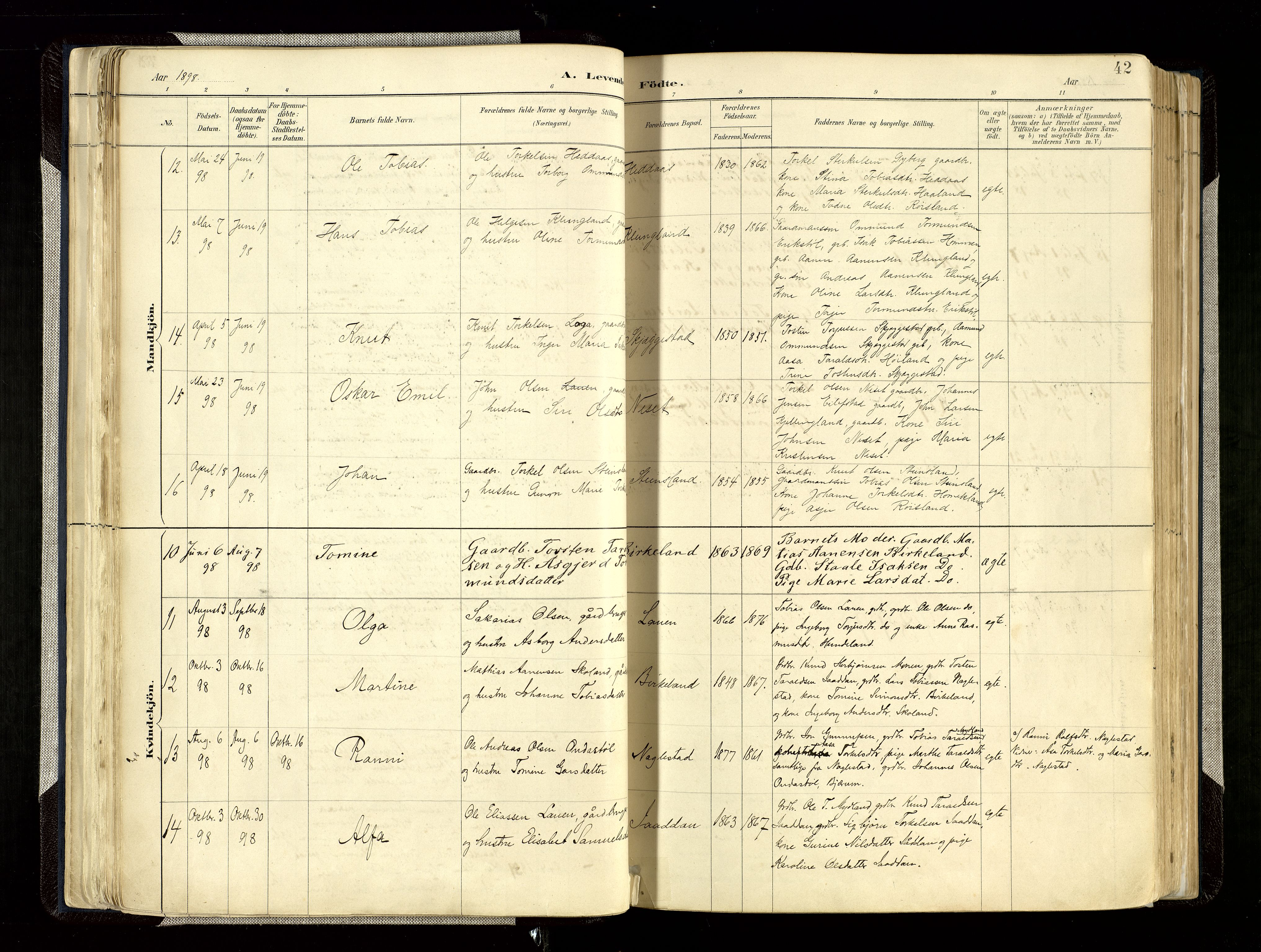 Hægebostad sokneprestkontor, AV/SAK-1111-0024/F/Fa/Faa/L0006: Parish register (official) no. A 6, 1887-1929, p. 42