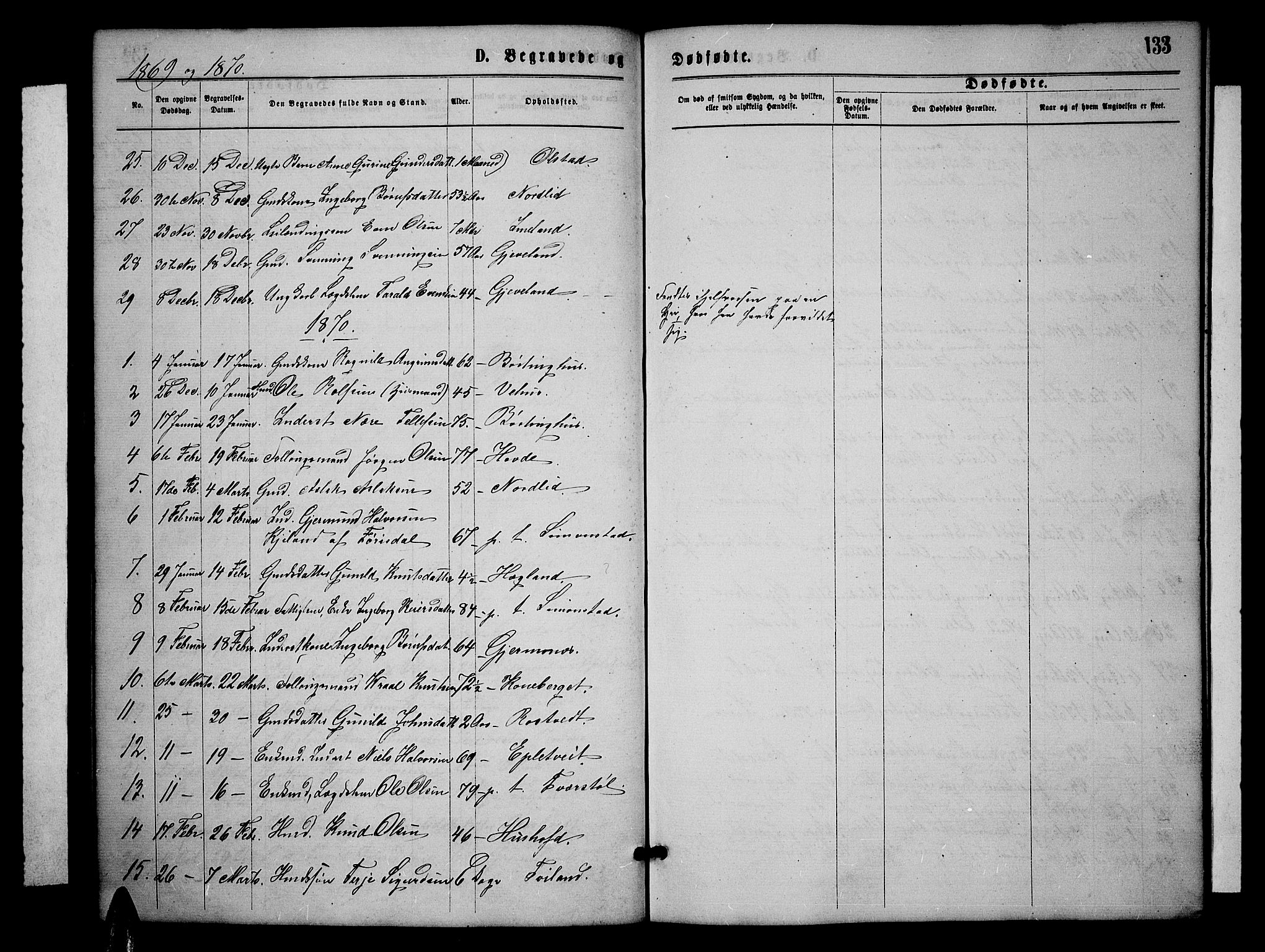 Åmli sokneprestkontor, SAK/1111-0050/F/Fb/Fbc/L0003: Parish register (copy) no. B 3, 1868-1888, p. 133