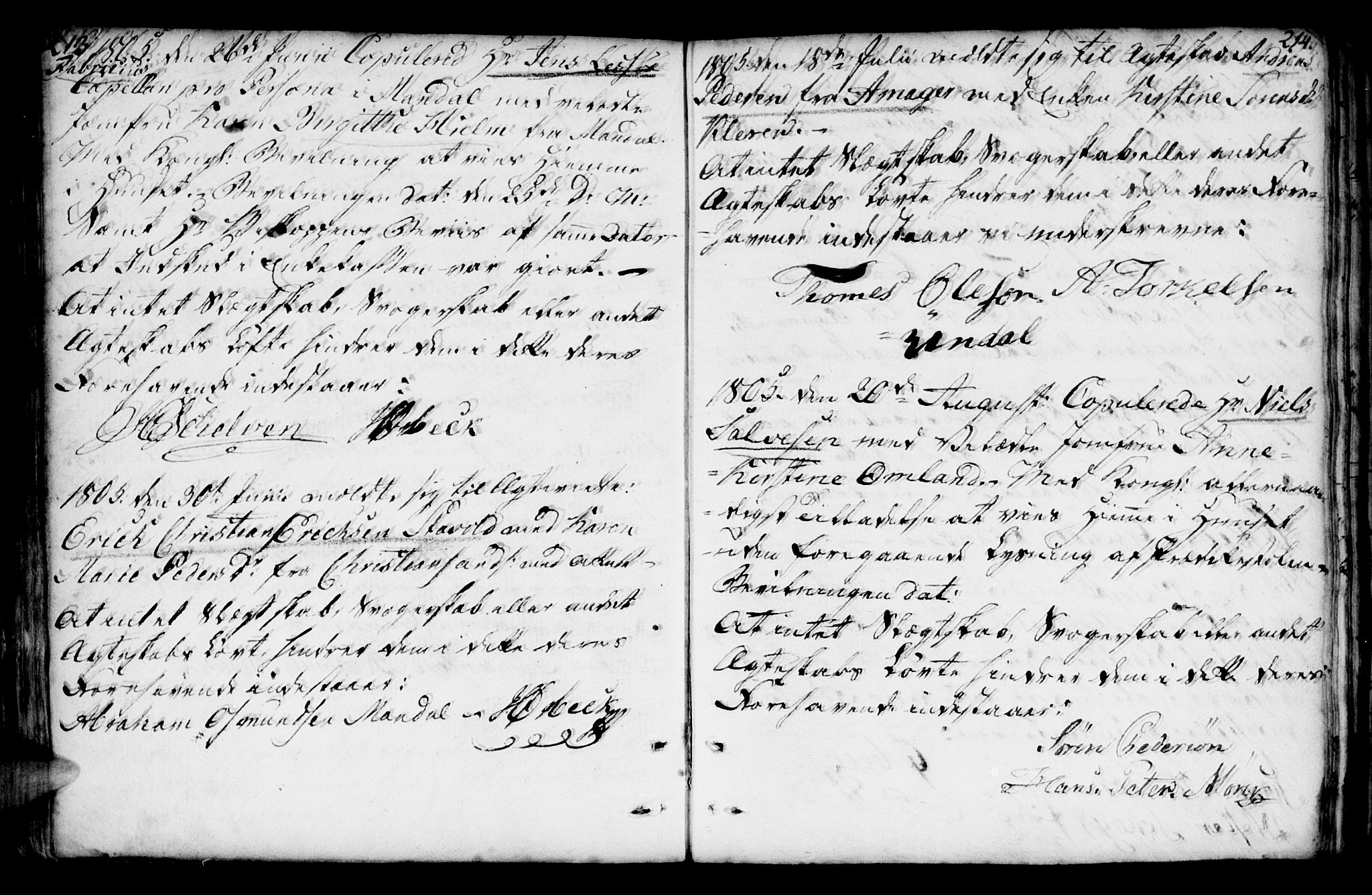 Mandal sokneprestkontor, AV/SAK-1111-0030/F/Fa/Faa/L0007: Parish register (official) no. A 7, 1783-1818, p. 213-214