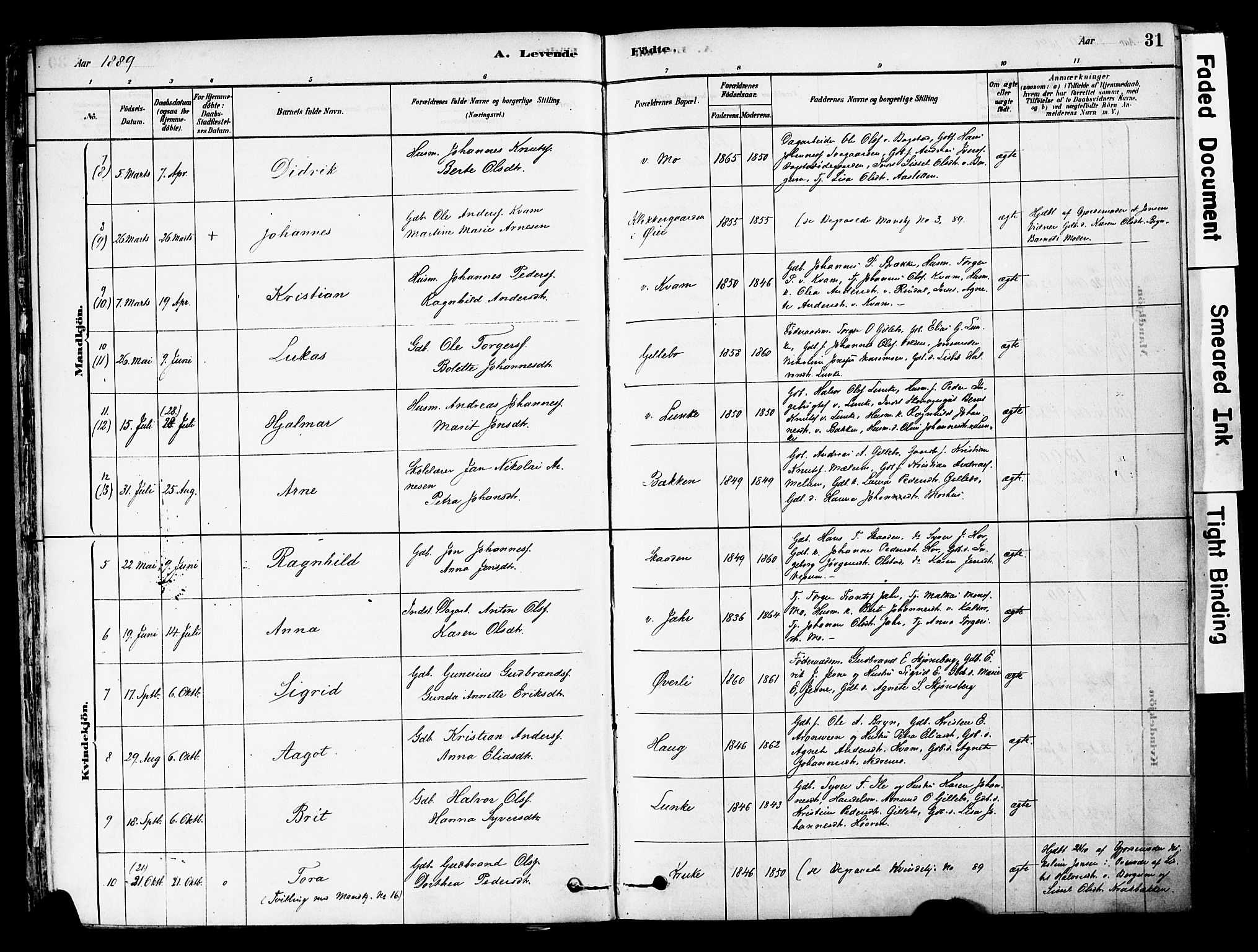 Øyer prestekontor, SAH/PREST-084/H/Ha/Haa/L0008: Parish register (official) no. 8, 1878-1897, p. 31