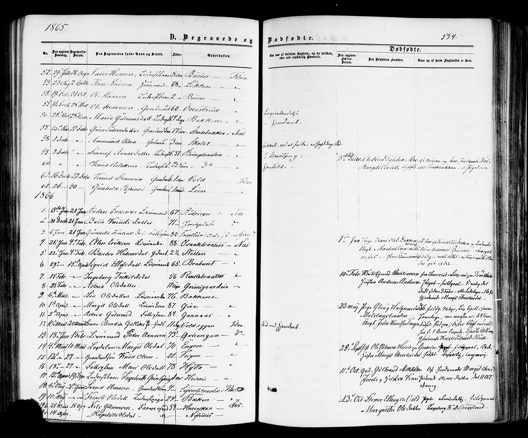 Nes kirkebøker, SAKO/A-236/F/Fa/L0010: Parish register (official) no. 10, 1864-1880, p. 534