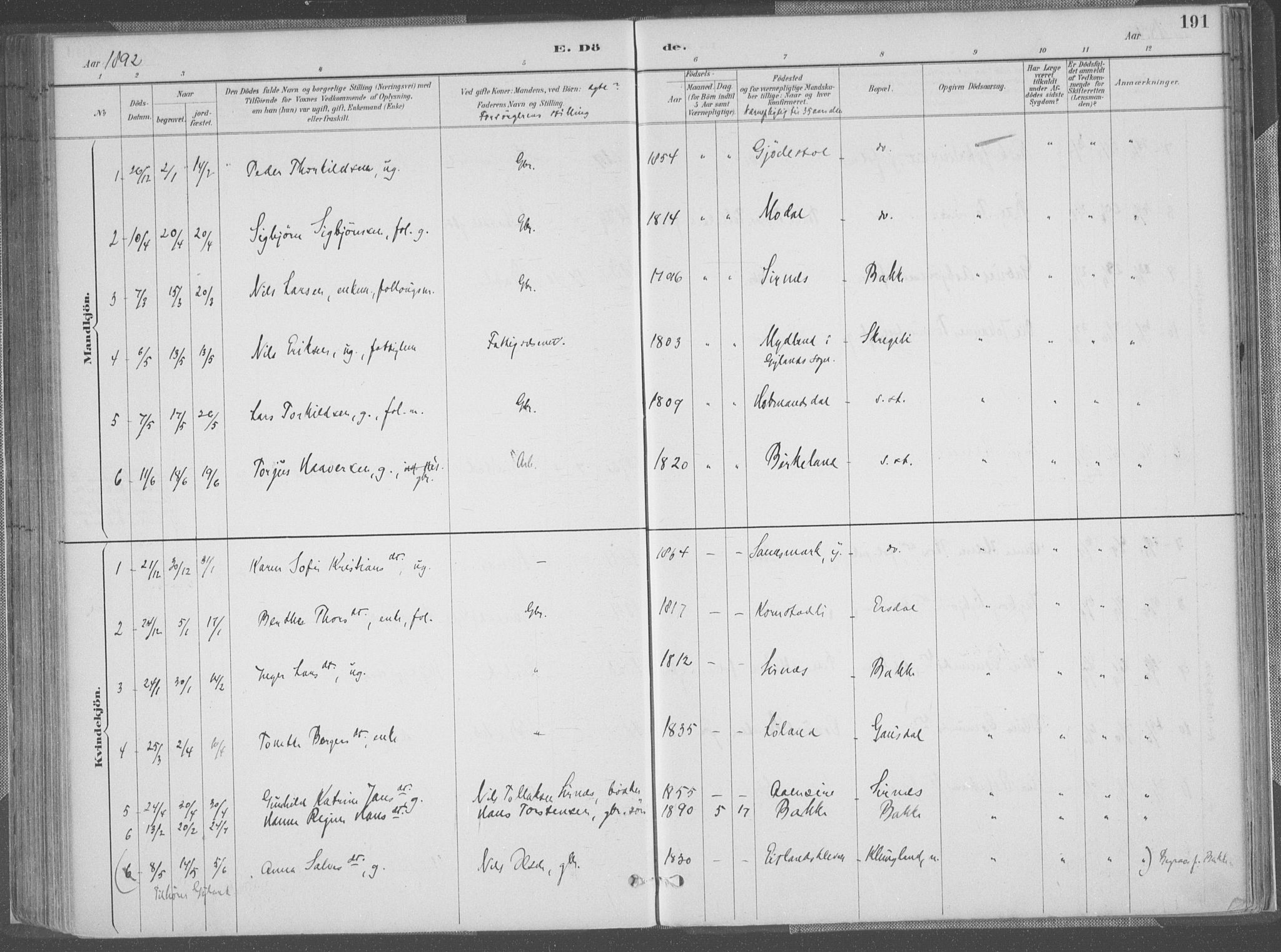 Bakke sokneprestkontor, AV/SAK-1111-0002/F/Fa/Faa/L0008: Parish register (official) no. A 8, 1887-1911, p. 191