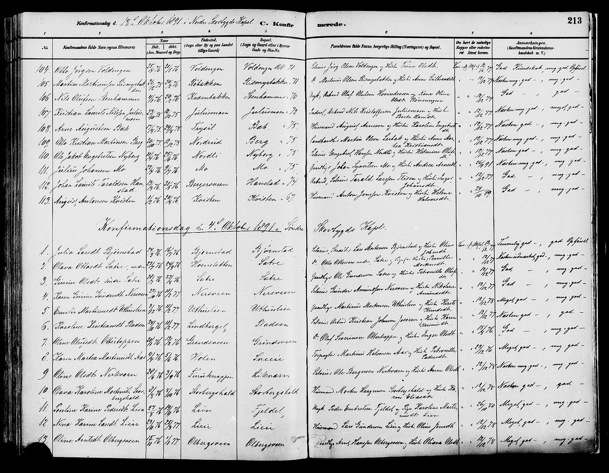 Elverum prestekontor, AV/SAH-PREST-044/H/Ha/Haa/L0013: Parish register (official) no. 13, 1880-1890, p. 213