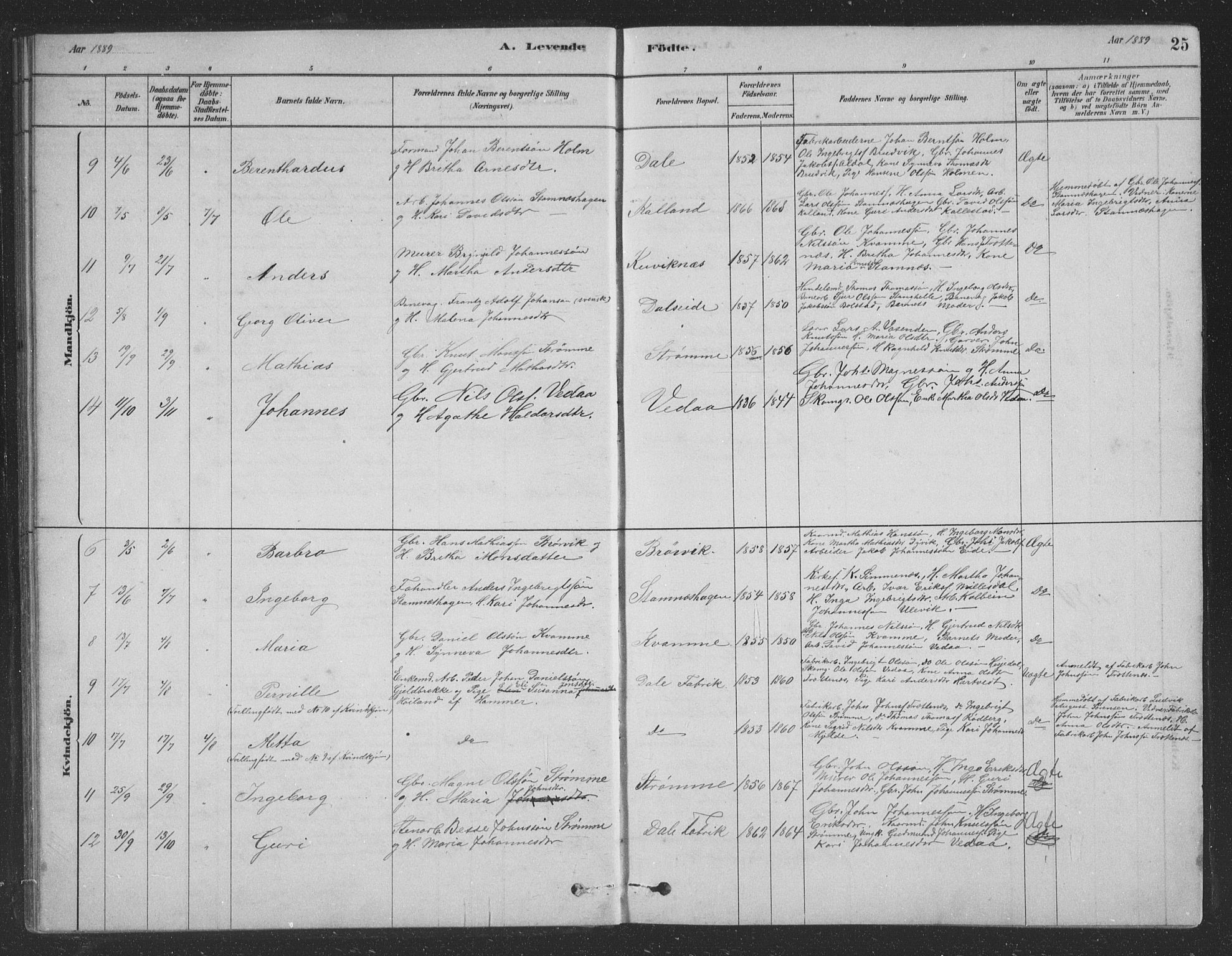 Vaksdal Sokneprestembete, SAB/A-78901/H/Hab: Parish register (copy) no. D 1, 1878-1939, p. 25