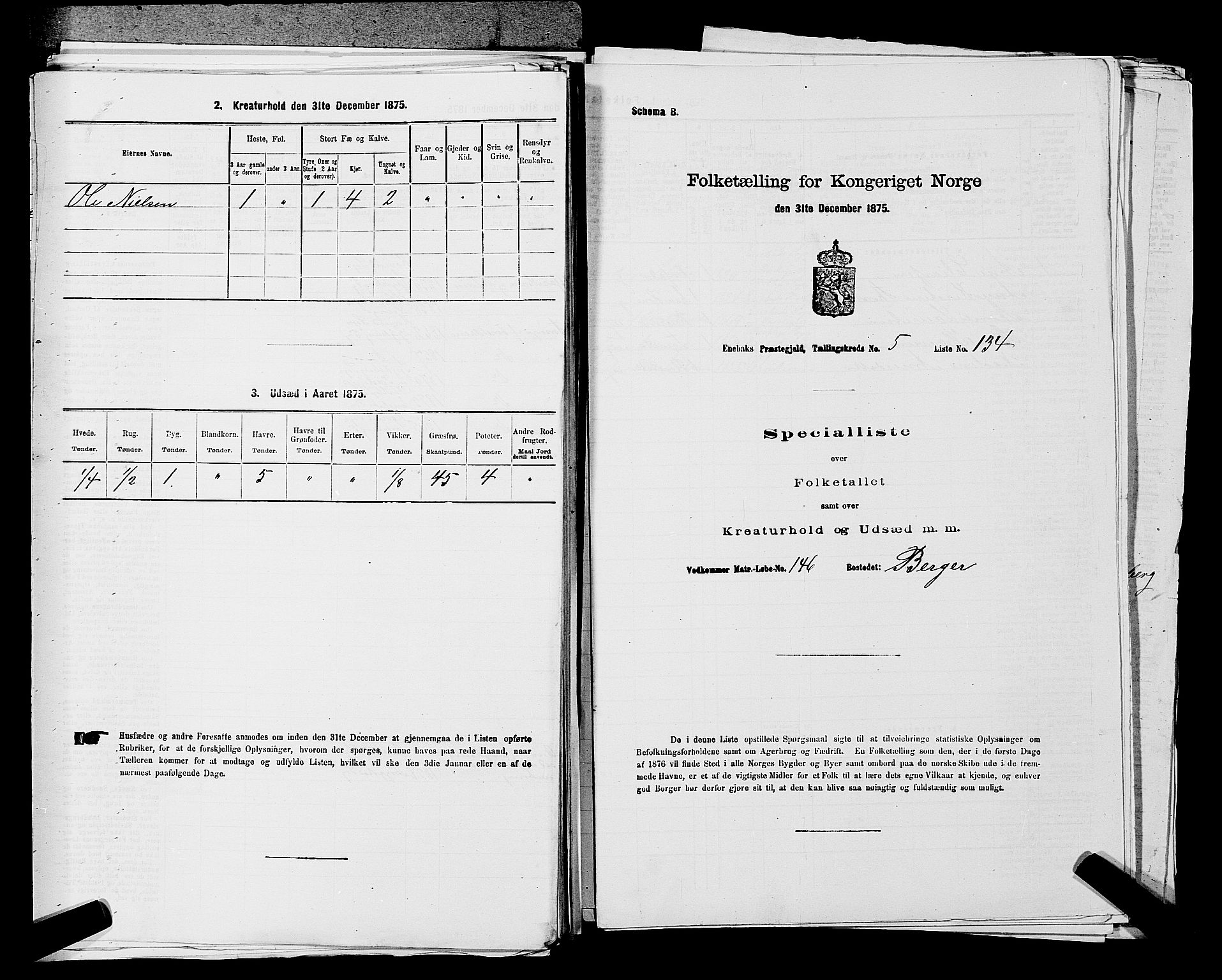 RA, 1875 census for 0229P Enebakk, 1875, p. 928