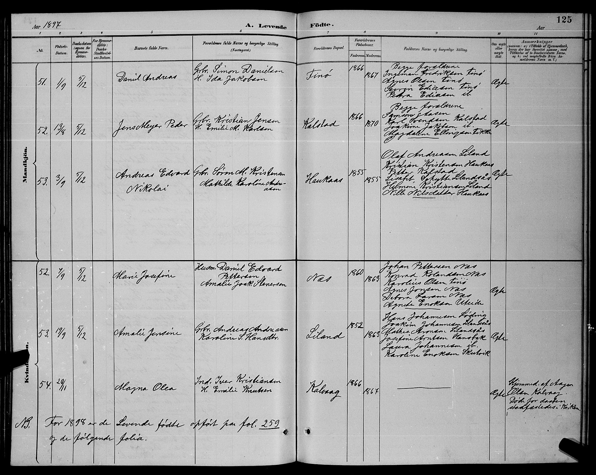 Ministerialprotokoller, klokkerbøker og fødselsregistre - Nordland, AV/SAT-A-1459/859/L0859: Parish register (copy) no. 859C05, 1887-1898, p. 125
