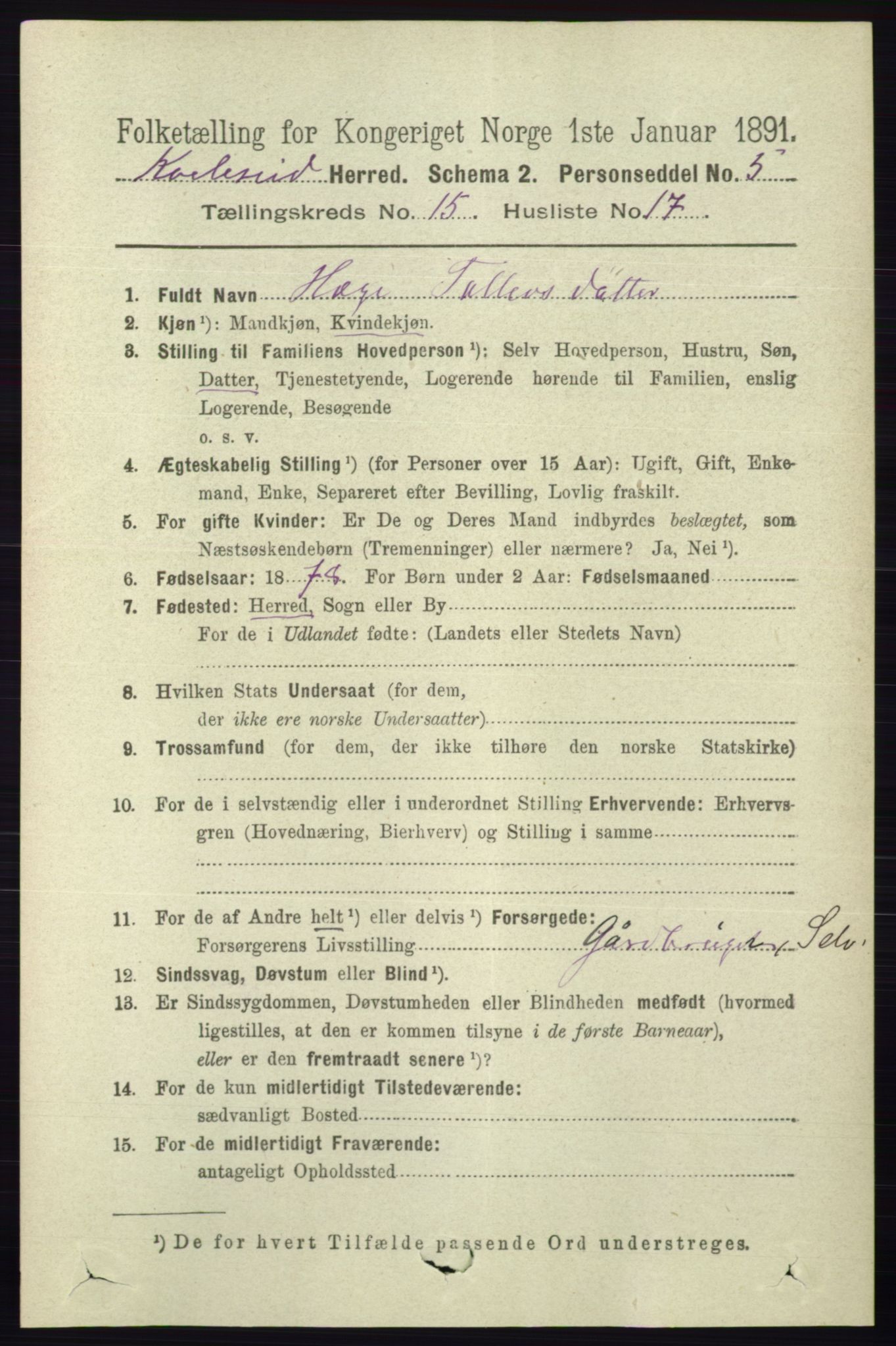 RA, 1891 census for 0829 Kviteseid, 1891, p. 3609