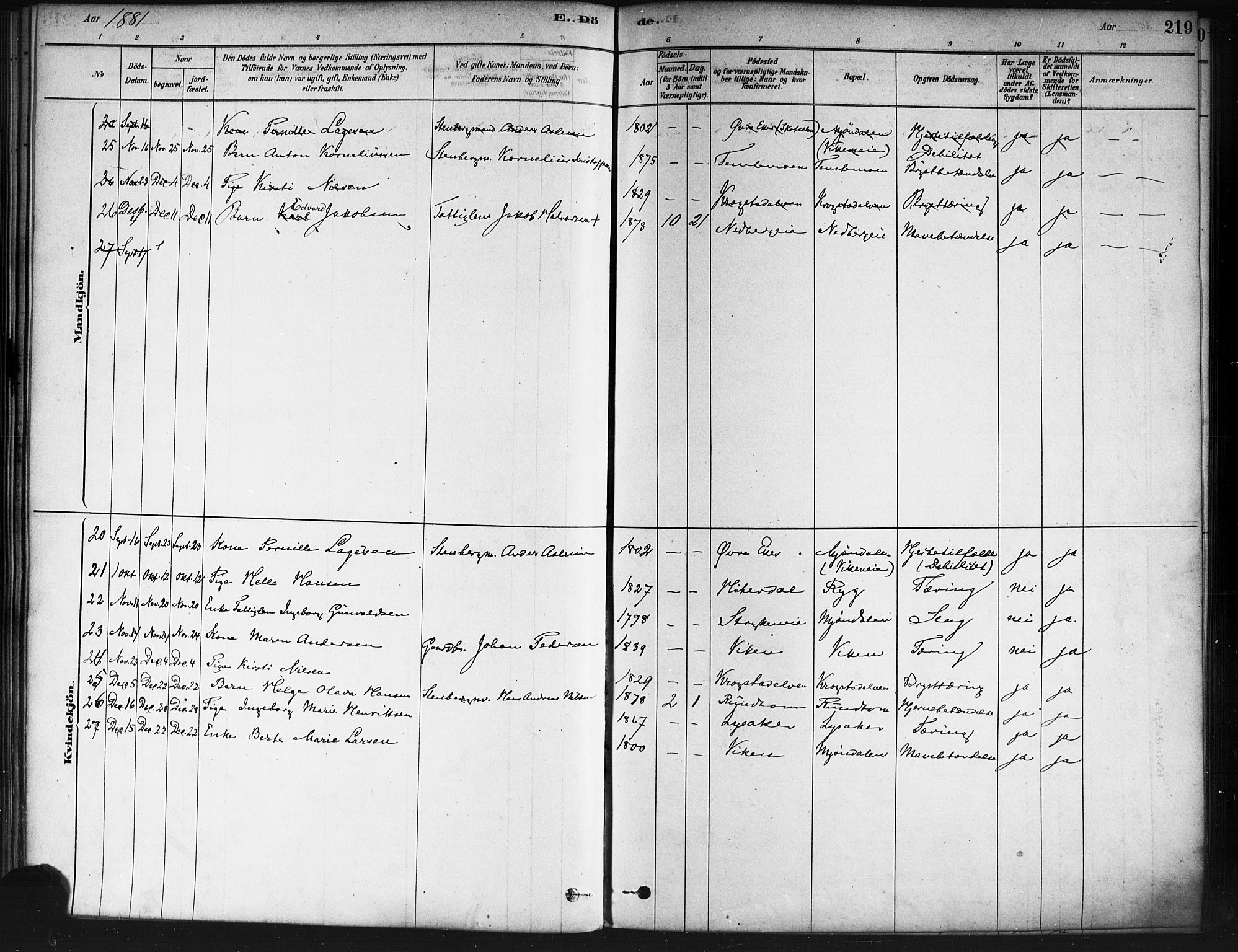 Nedre Eiker kirkebøker, SAKO/A-612/F/Fa/L0002: Parish register (official) no. 2, 1878-1885, p. 219