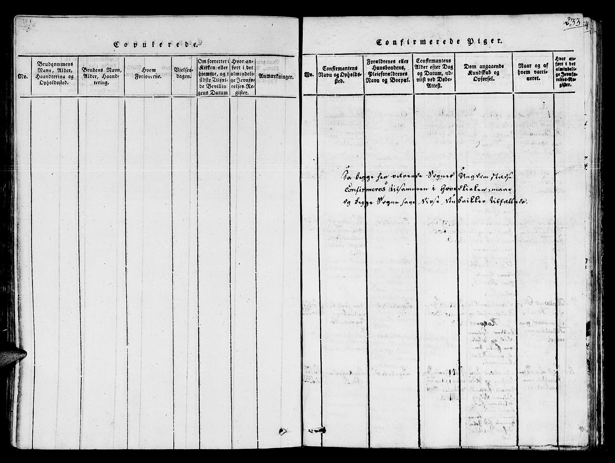 Ministerialprotokoller, klokkerbøker og fødselsregistre - Sør-Trøndelag, SAT/A-1456/678/L0895: Parish register (official) no. 678A05 /1, 1816-1821, p. 233