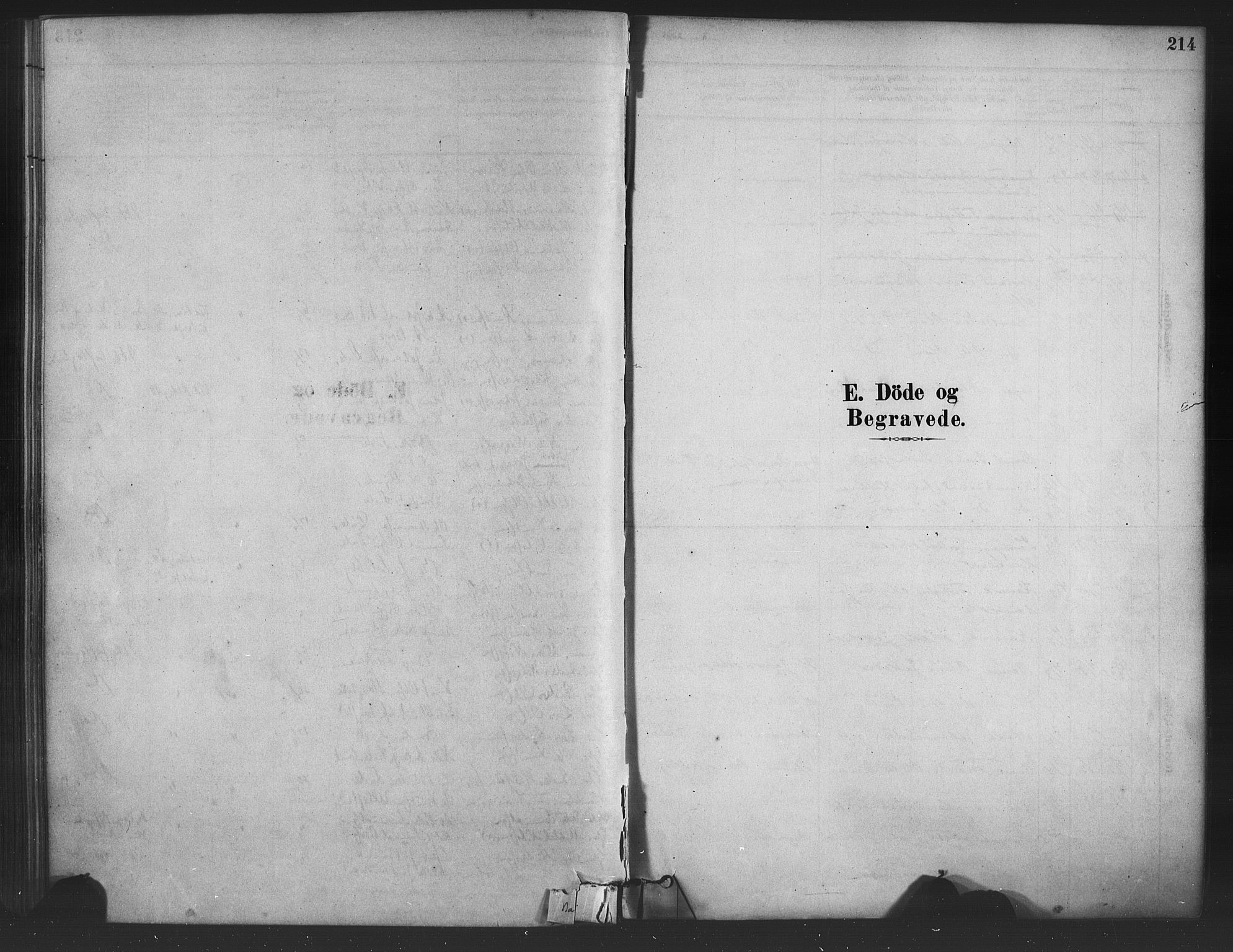 Bruvik Sokneprestembete, SAB/A-74701/H/Haa: Parish register (official) no. B 1, 1878-1904, p. 214