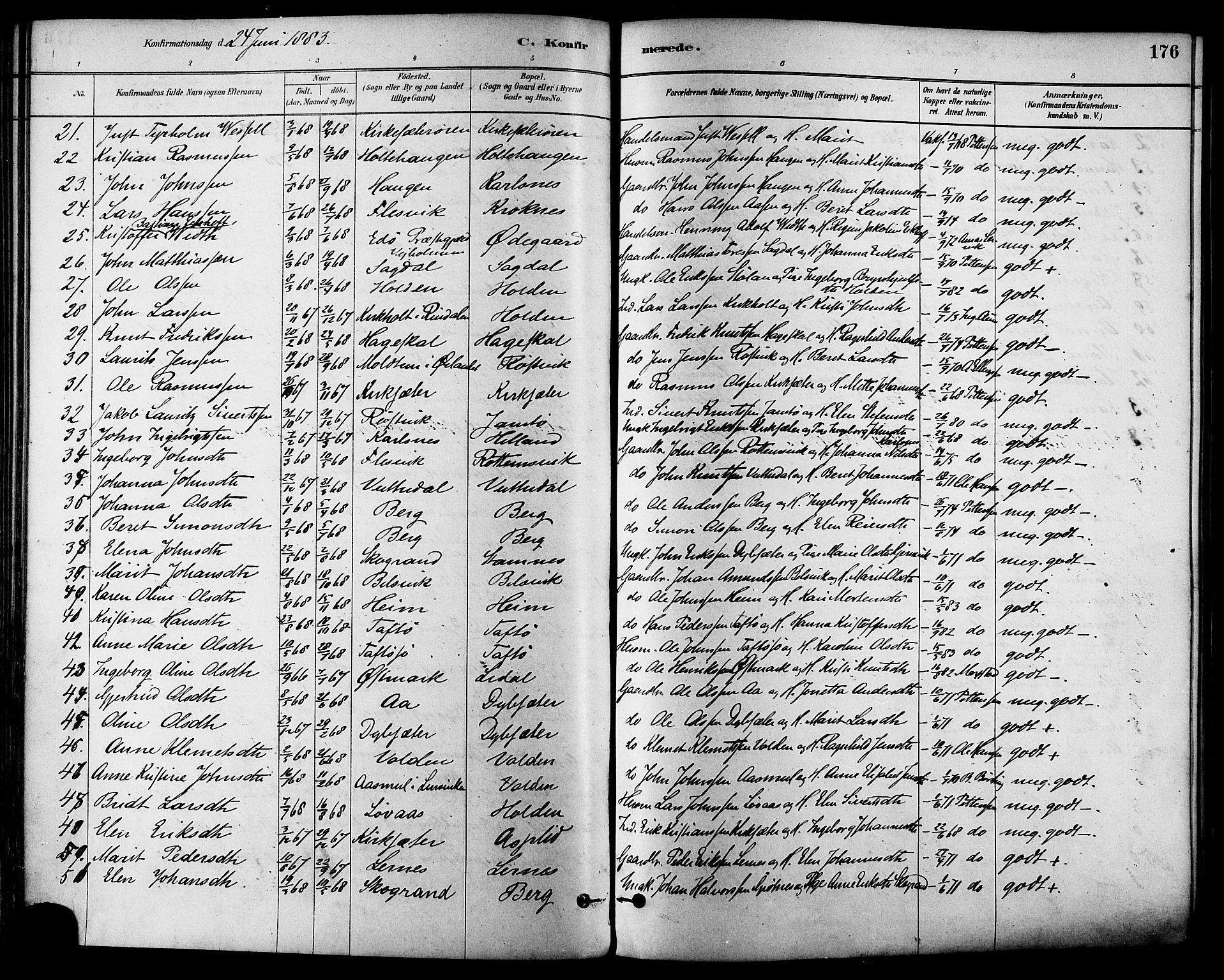 Ministerialprotokoller, klokkerbøker og fødselsregistre - Sør-Trøndelag, SAT/A-1456/630/L0496: Parish register (official) no. 630A09, 1879-1895, p. 176