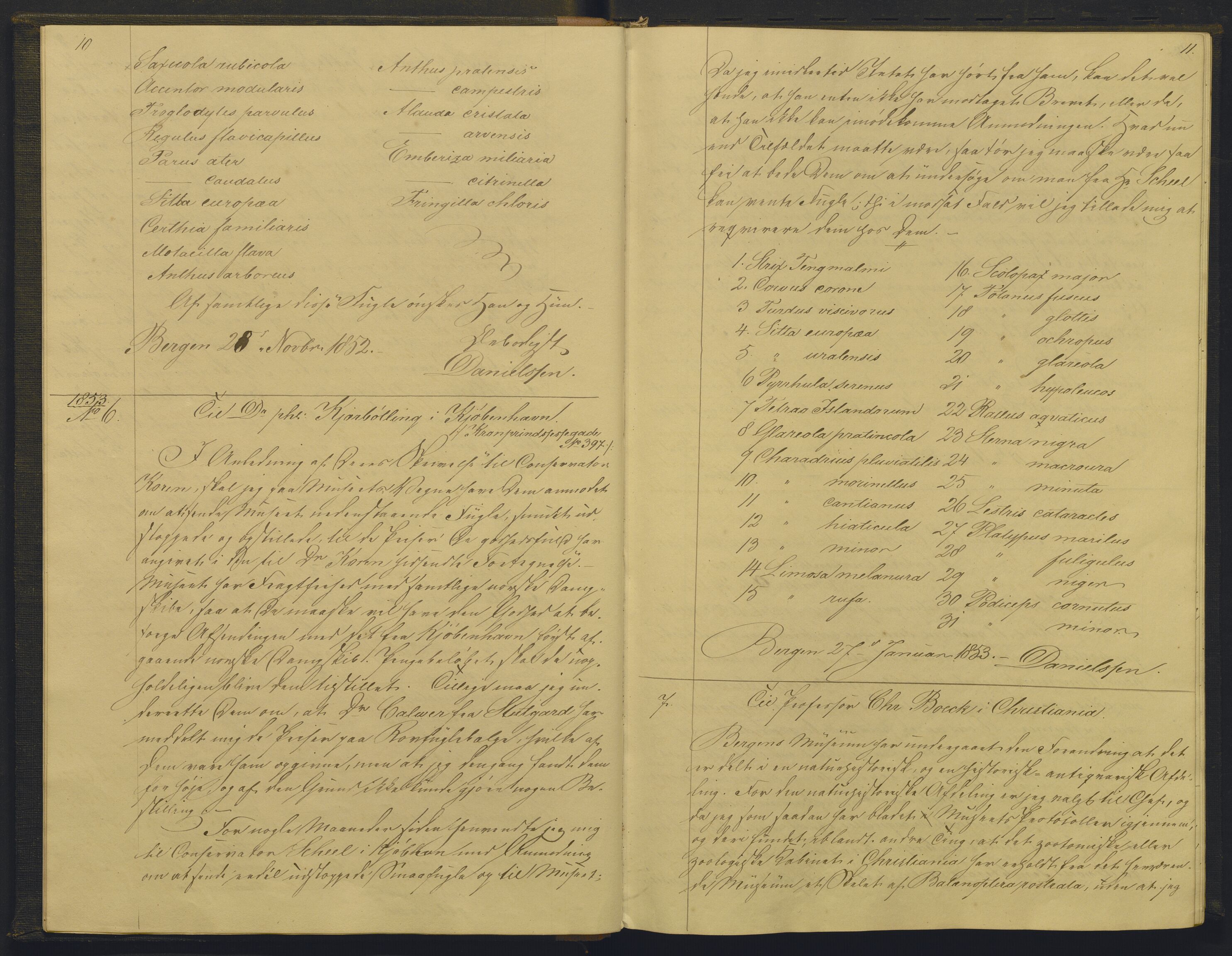 Bergens Museum, AV/SAB-A-17301/08/B/Ba/L0001: Kopibok , 1852-1874, p. 10-11