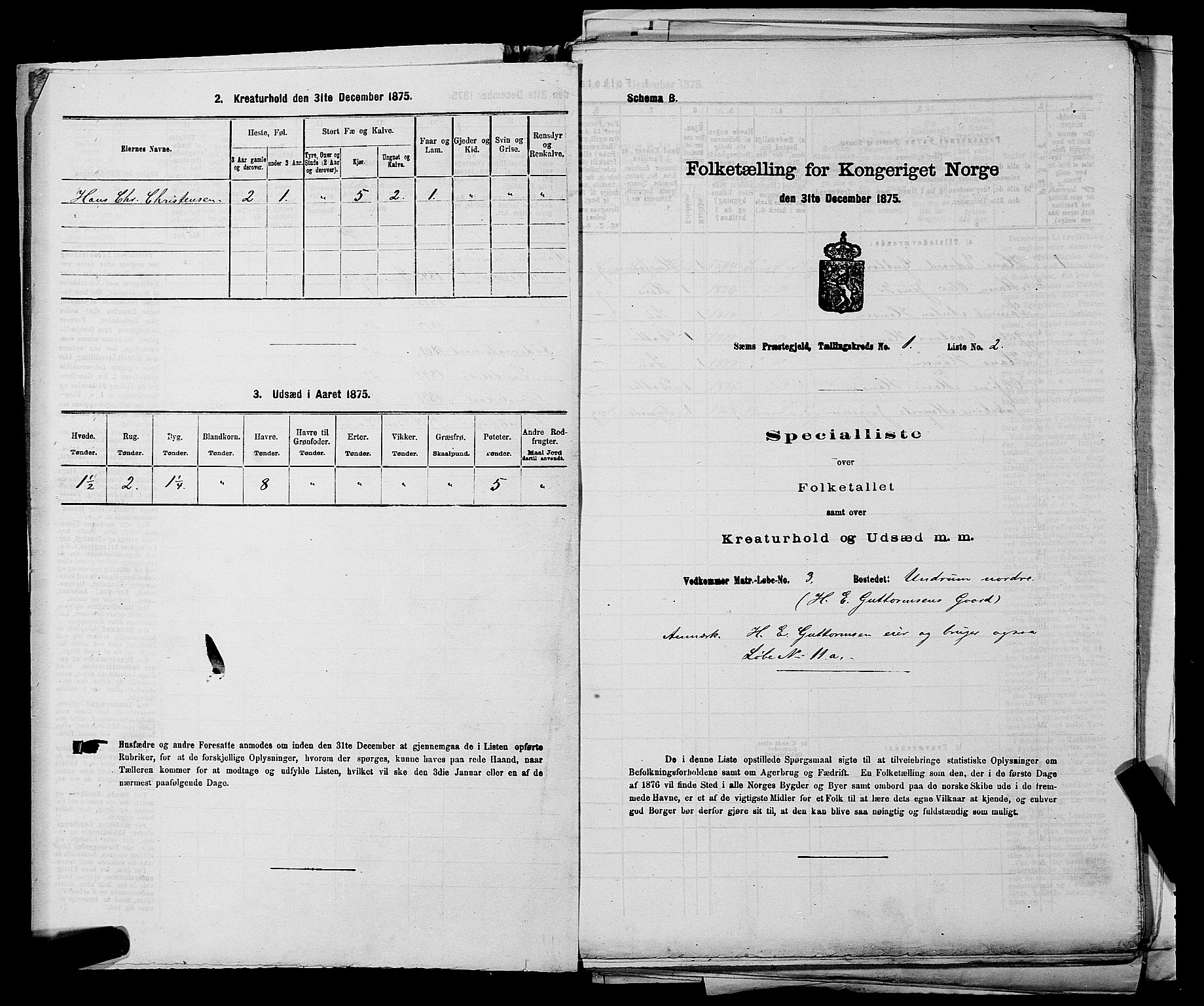 SAKO, 1875 census for 0721P Sem, 1875, p. 80