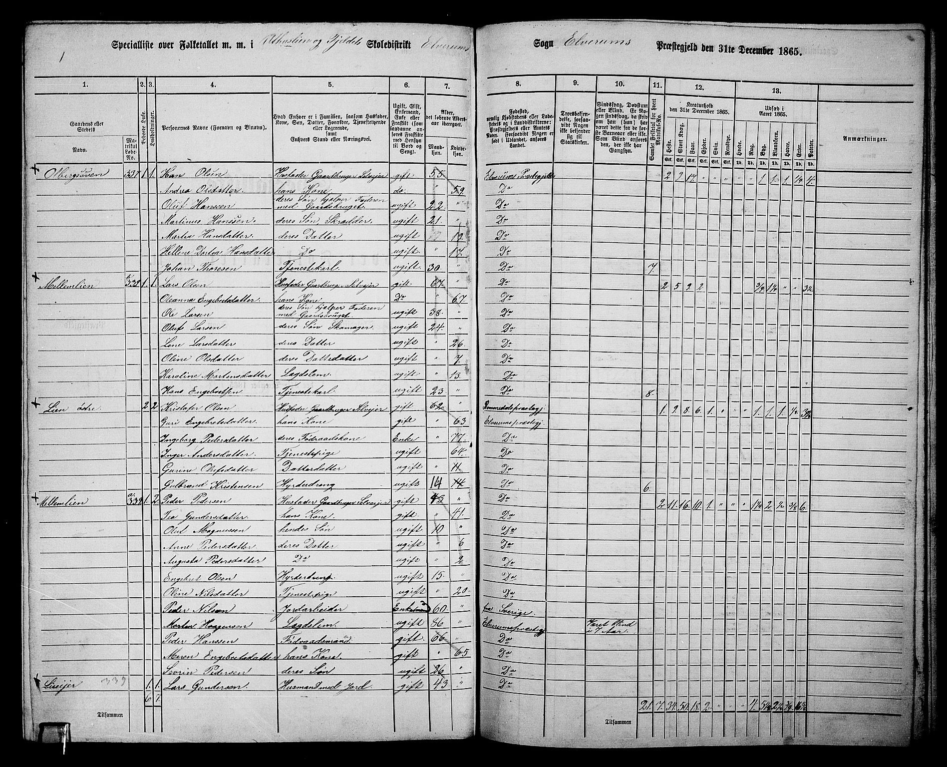 RA, 1865 census for Elverum, 1865, p. 236