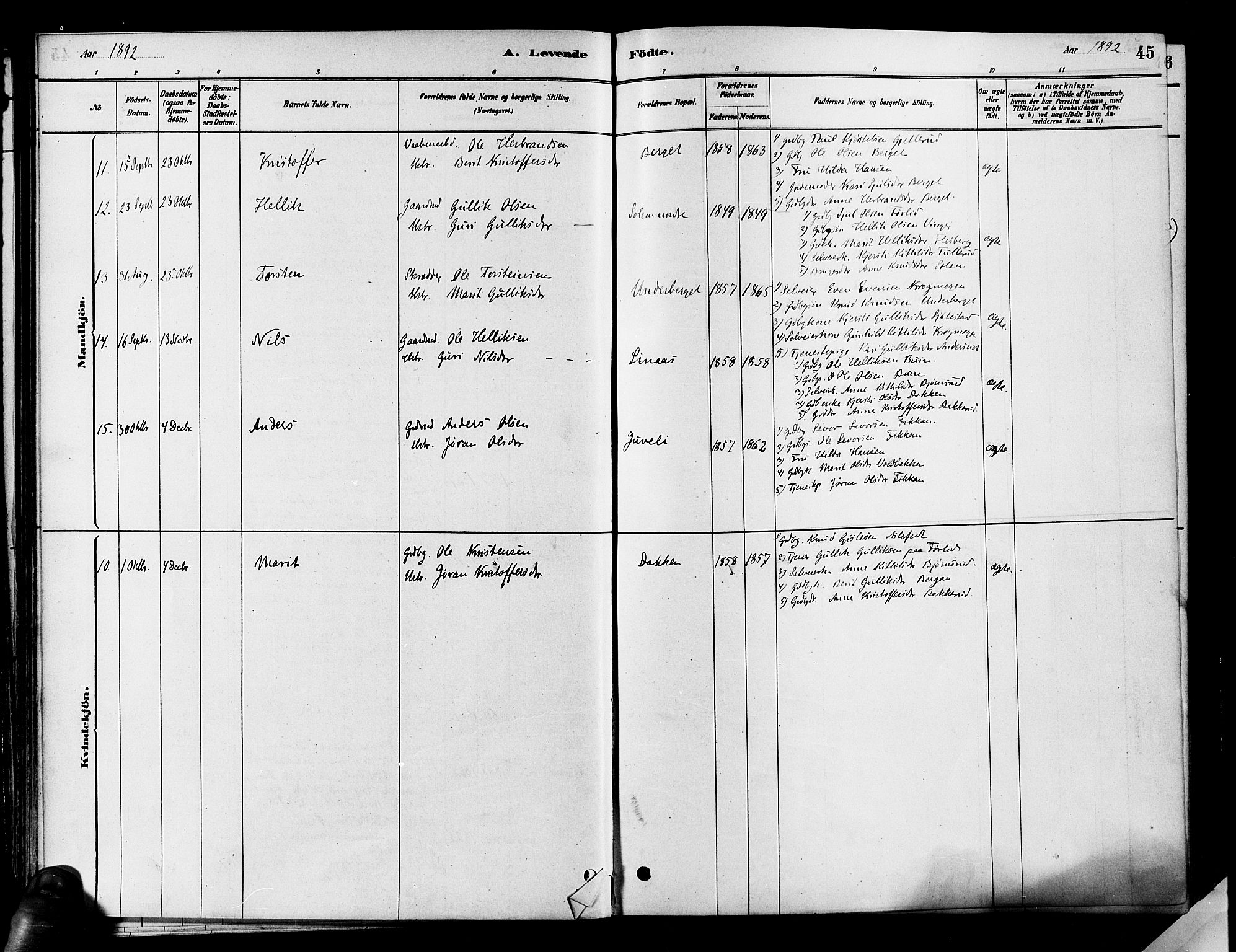 Flesberg kirkebøker, AV/SAKO-A-18/F/Fa/L0008: Parish register (official) no. I 8, 1879-1899, p. 45