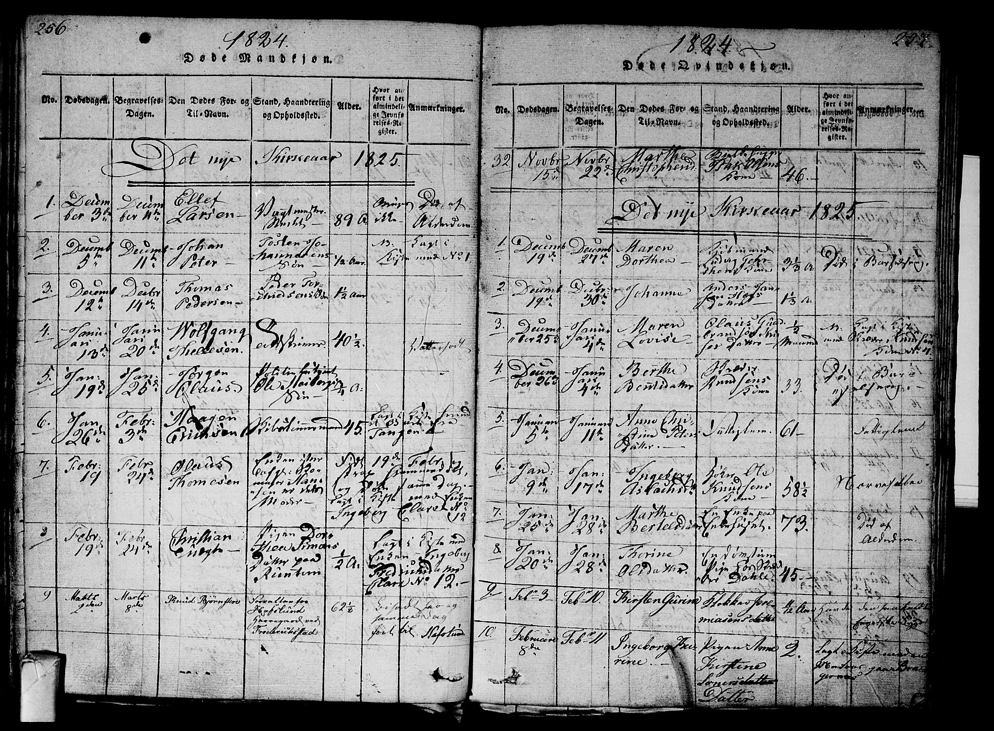 Strømsø kirkebøker, AV/SAKO-A-246/G/Ga/L0001: Parish register (copy) no. 1, 1815-1829, p. 256-257