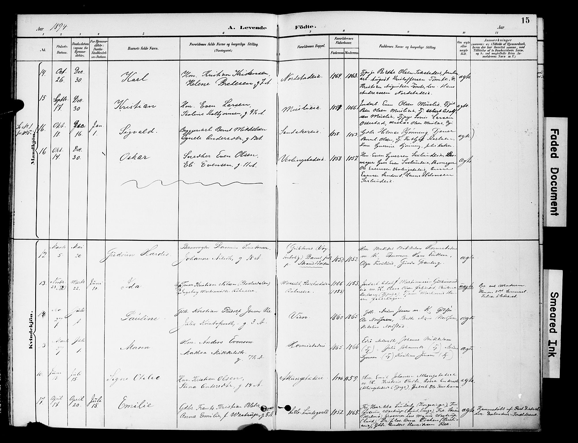 Stange prestekontor, AV/SAH-PREST-002/K/L0021: Parish register (official) no. 21, 1891-1902, p. 15