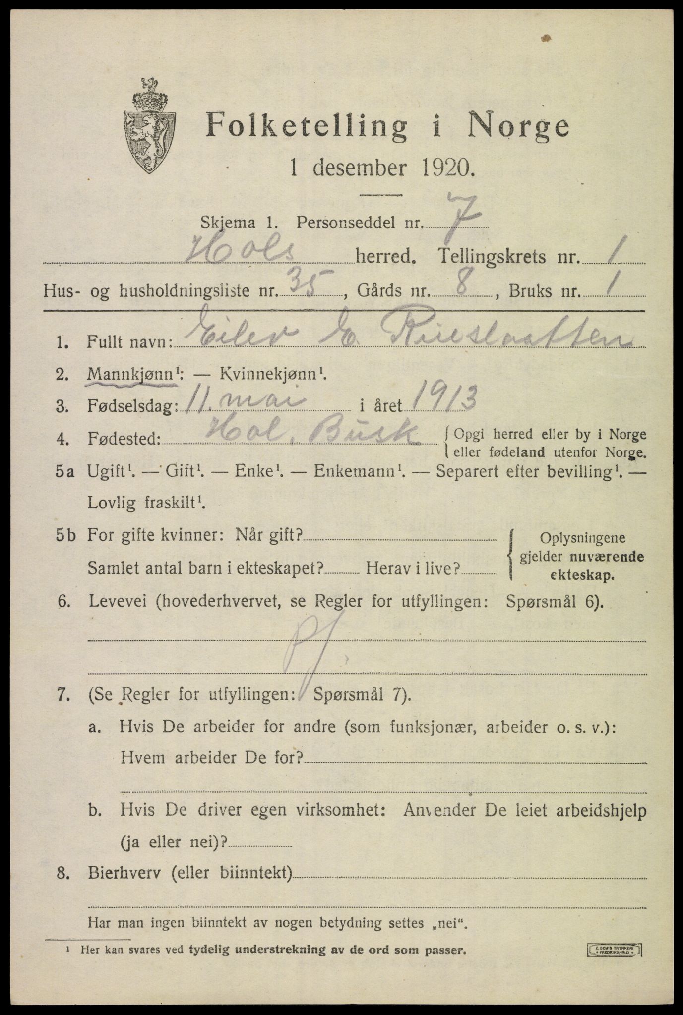 SAKO, 1920 census for Hol (Buskerud), 1920, p. 1191