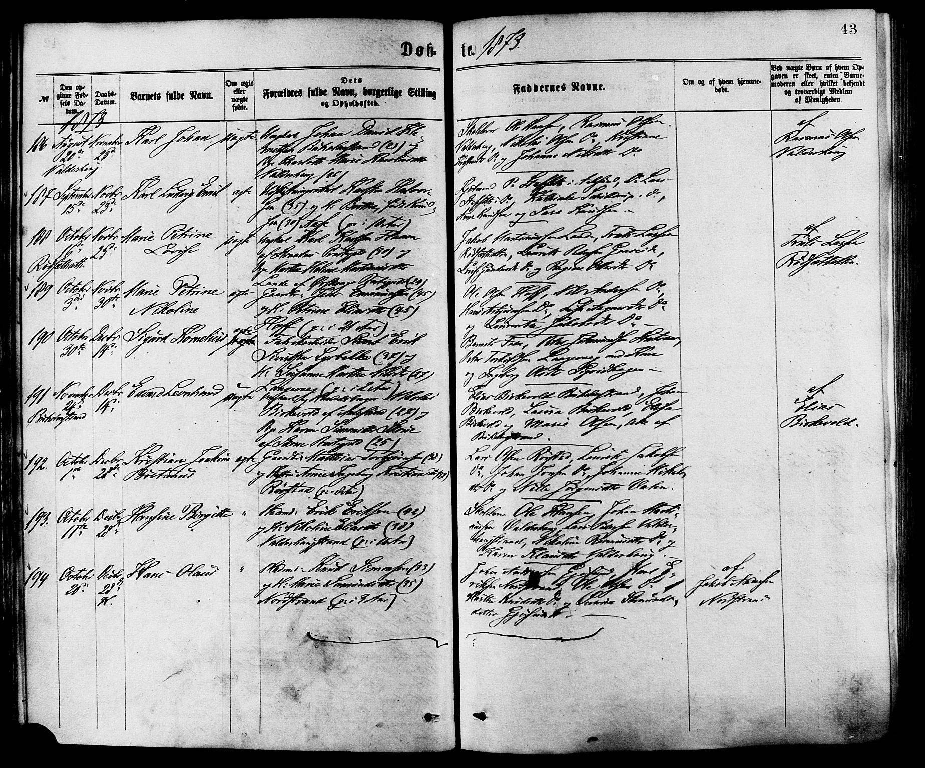 Ministerialprotokoller, klokkerbøker og fødselsregistre - Møre og Romsdal, AV/SAT-A-1454/528/L0400: Parish register (official) no. 528A11, 1871-1879, p. 43