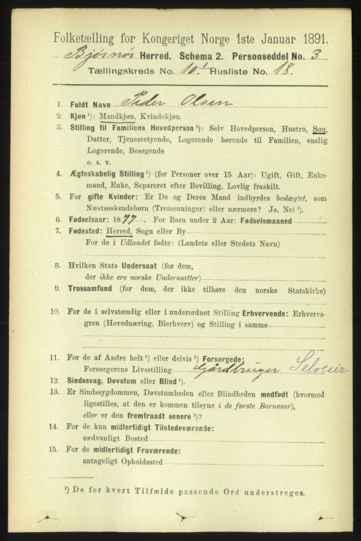 RA, 1891 census for 1632 Bjørnør, 1891, p. 4246