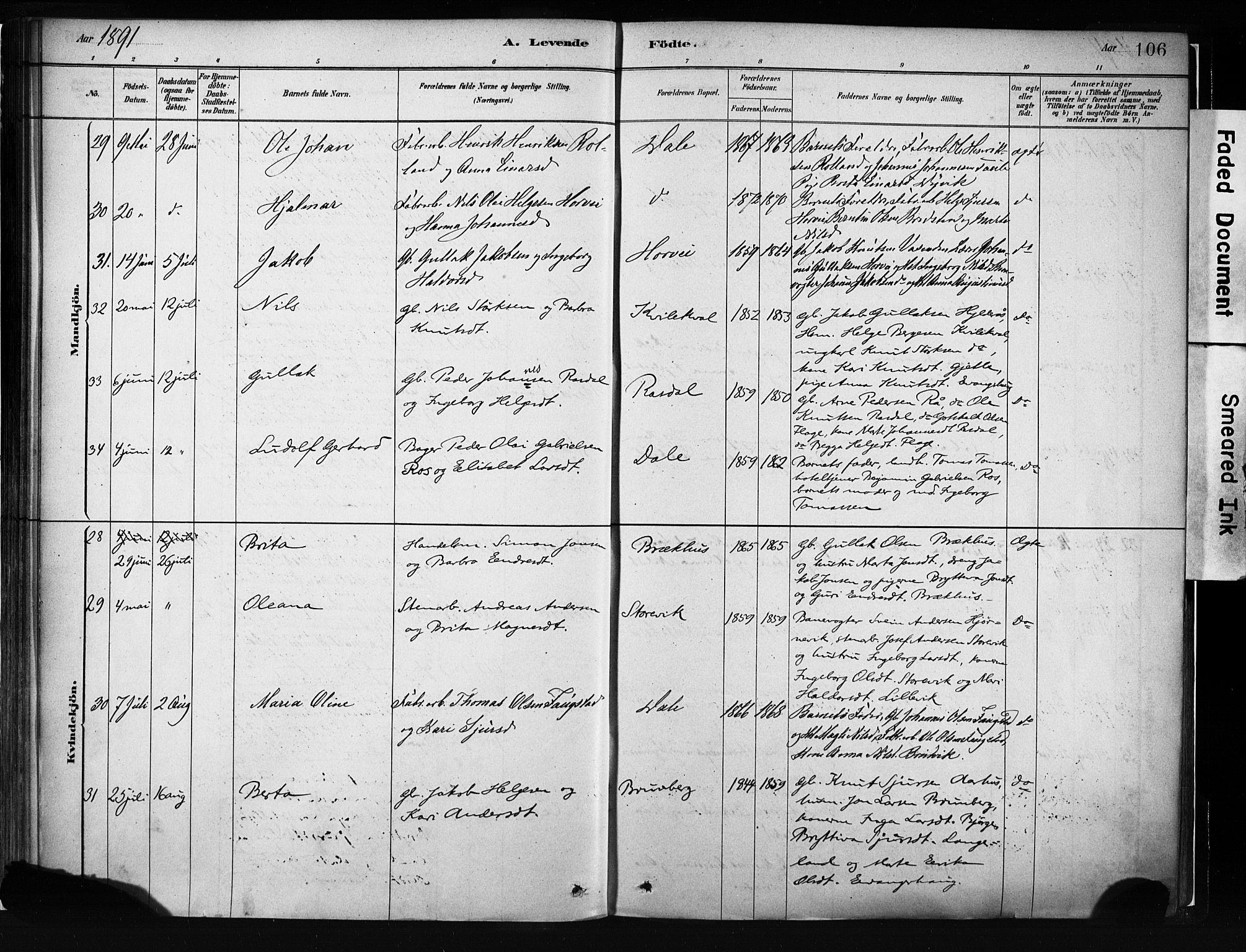 Evanger sokneprestembete, AV/SAB-A-99924: Parish register (official) no. A 1, 1877-1899, p. 106