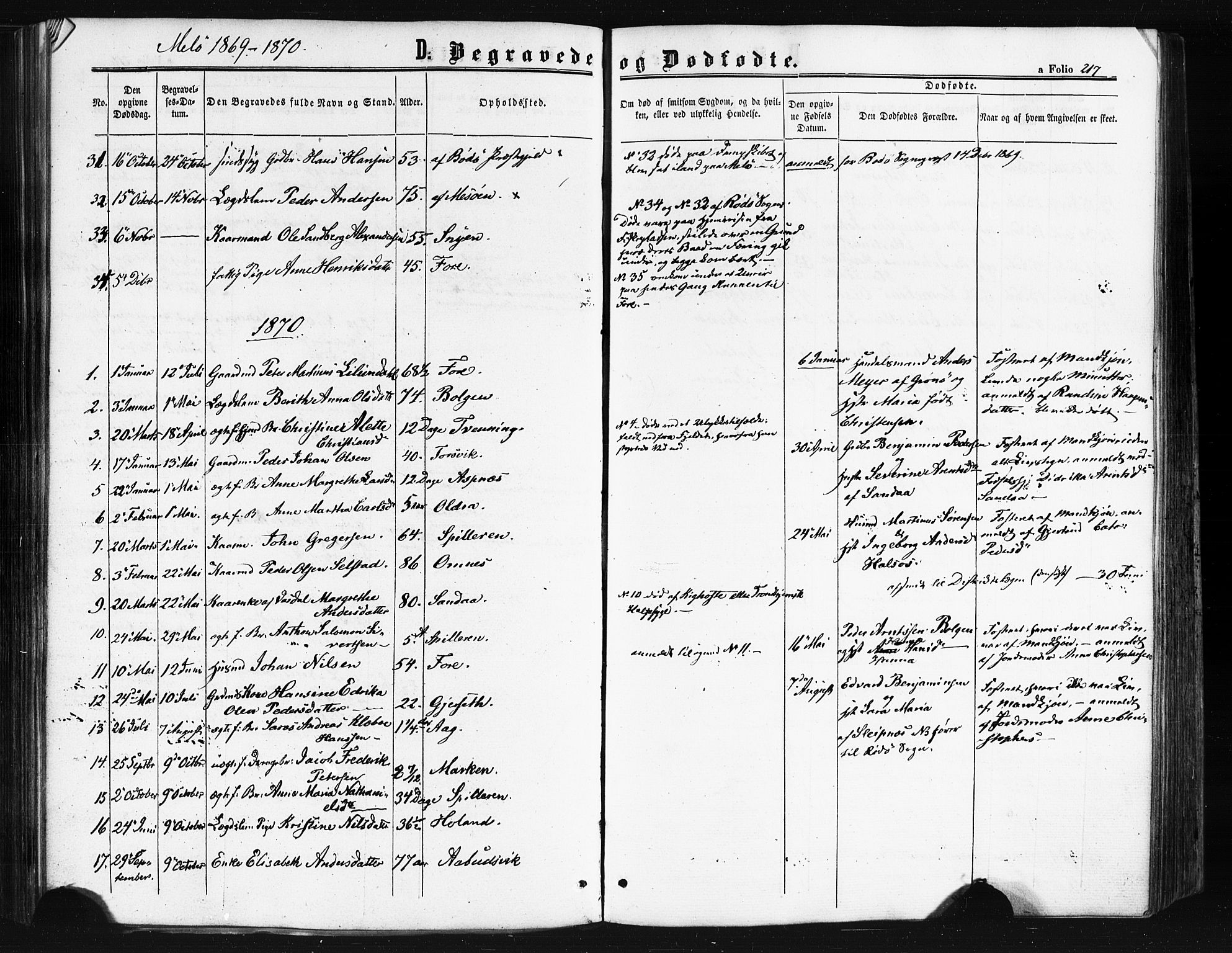 Ministerialprotokoller, klokkerbøker og fødselsregistre - Nordland, SAT/A-1459/841/L0607: Parish register (official) no. 841A11 /2, 1863-1877, p. 217