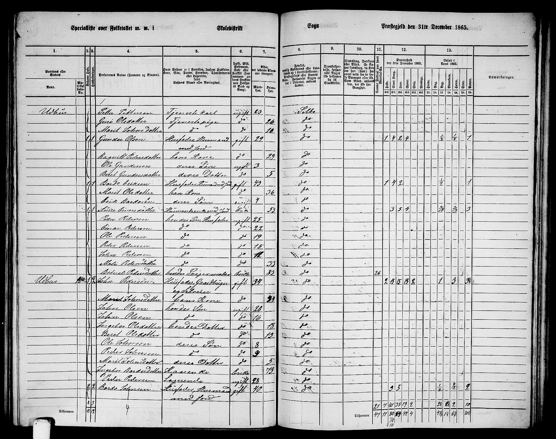 RA, 1865 census for Selbu, 1865, p. 148