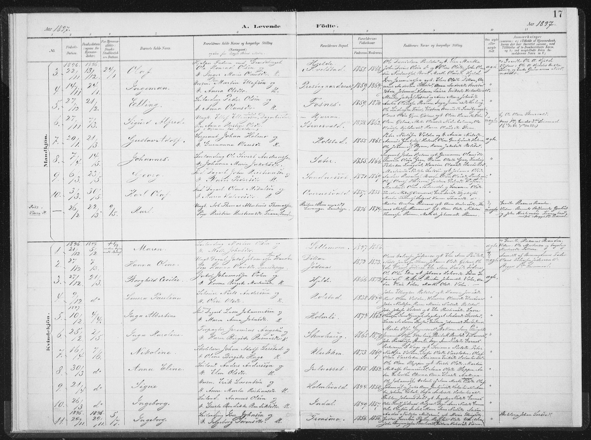 Ministerialprotokoller, klokkerbøker og fødselsregistre - Nord-Trøndelag, SAT/A-1458/724/L0263: Parish register (official) no. 724A01, 1891-1907, p. 17