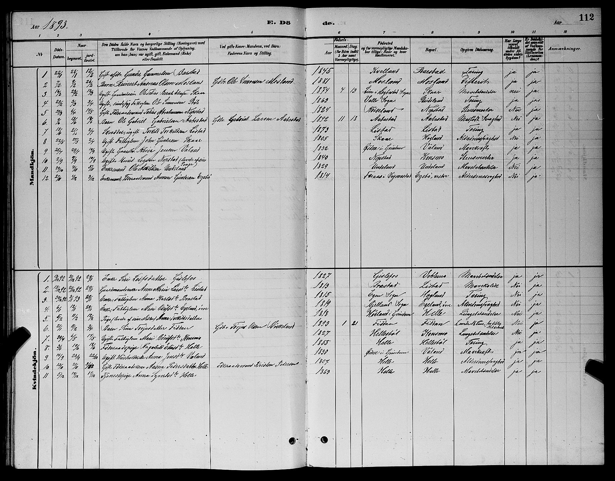 Nord-Audnedal sokneprestkontor, AV/SAK-1111-0032/F/Fb/Fba/L0003: Parish register (copy) no. B 3, 1881-1900, p. 112