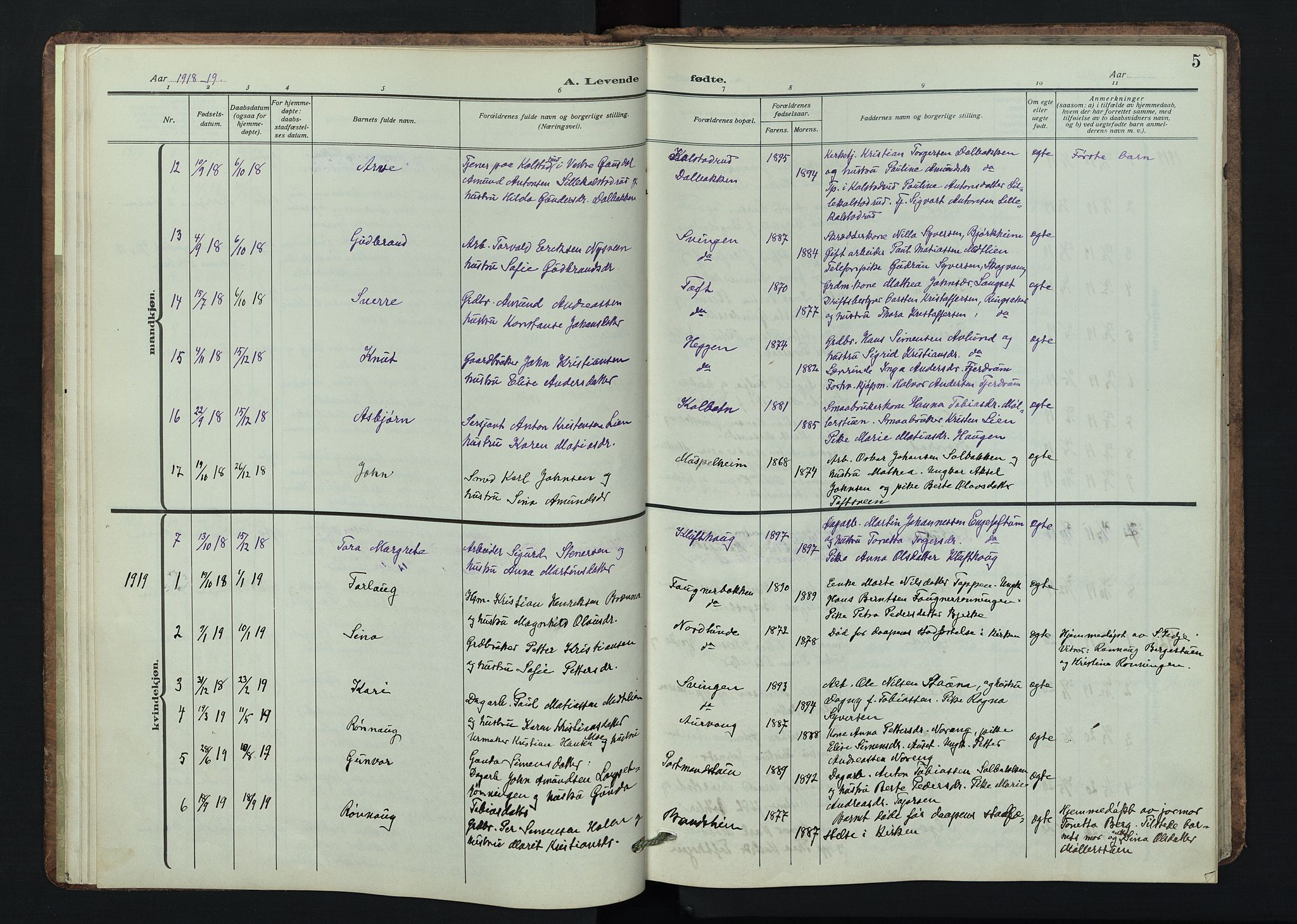 Østre Gausdal prestekontor, SAH/PREST-092/H/Ha/Hab/L0005: Parish register (copy) no. 5, 1915-1944, p. 5