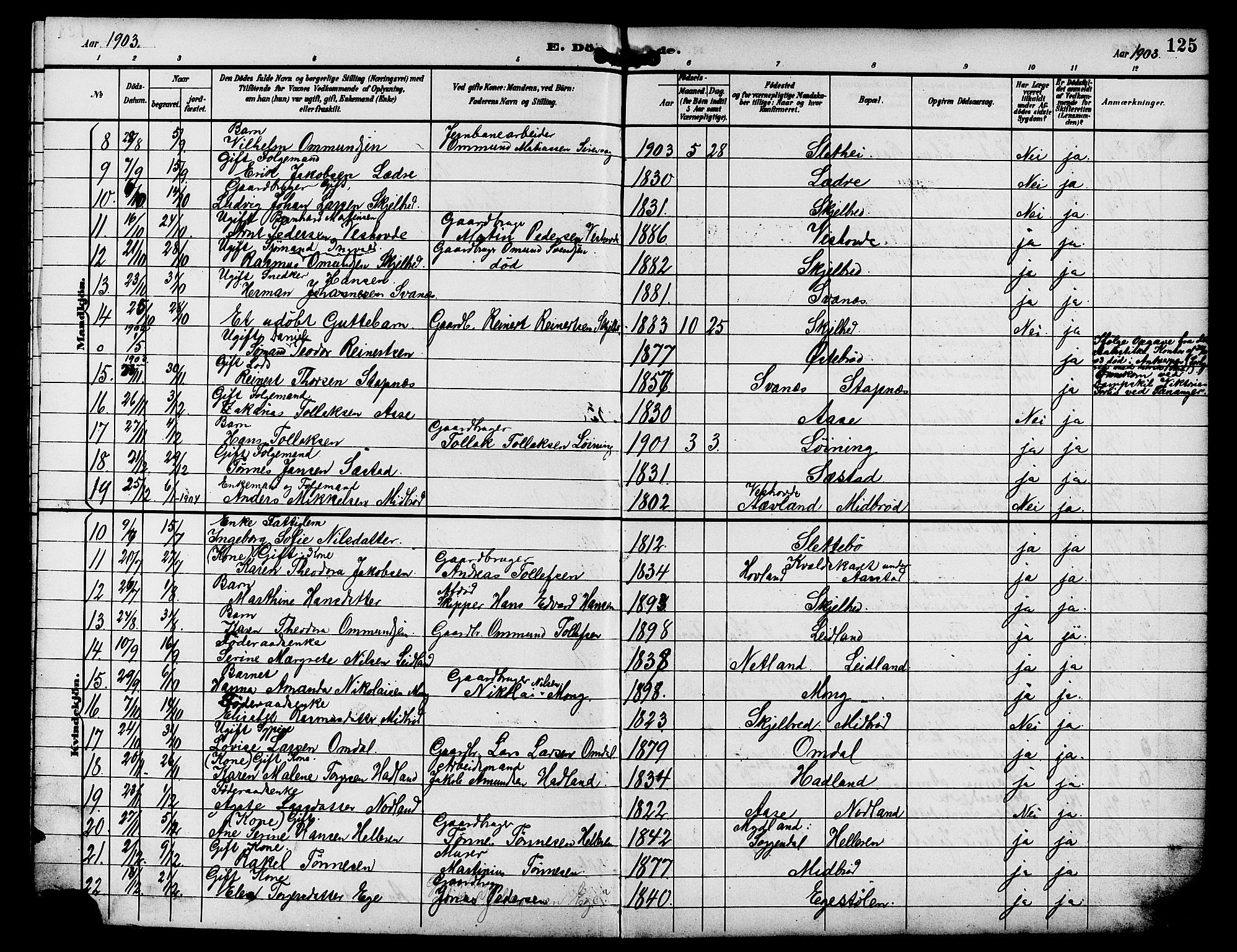 Eigersund sokneprestkontor, AV/SAST-A-101807/S09/L0009: Parish register (copy) no. B 9, 1893-1907, p. 125