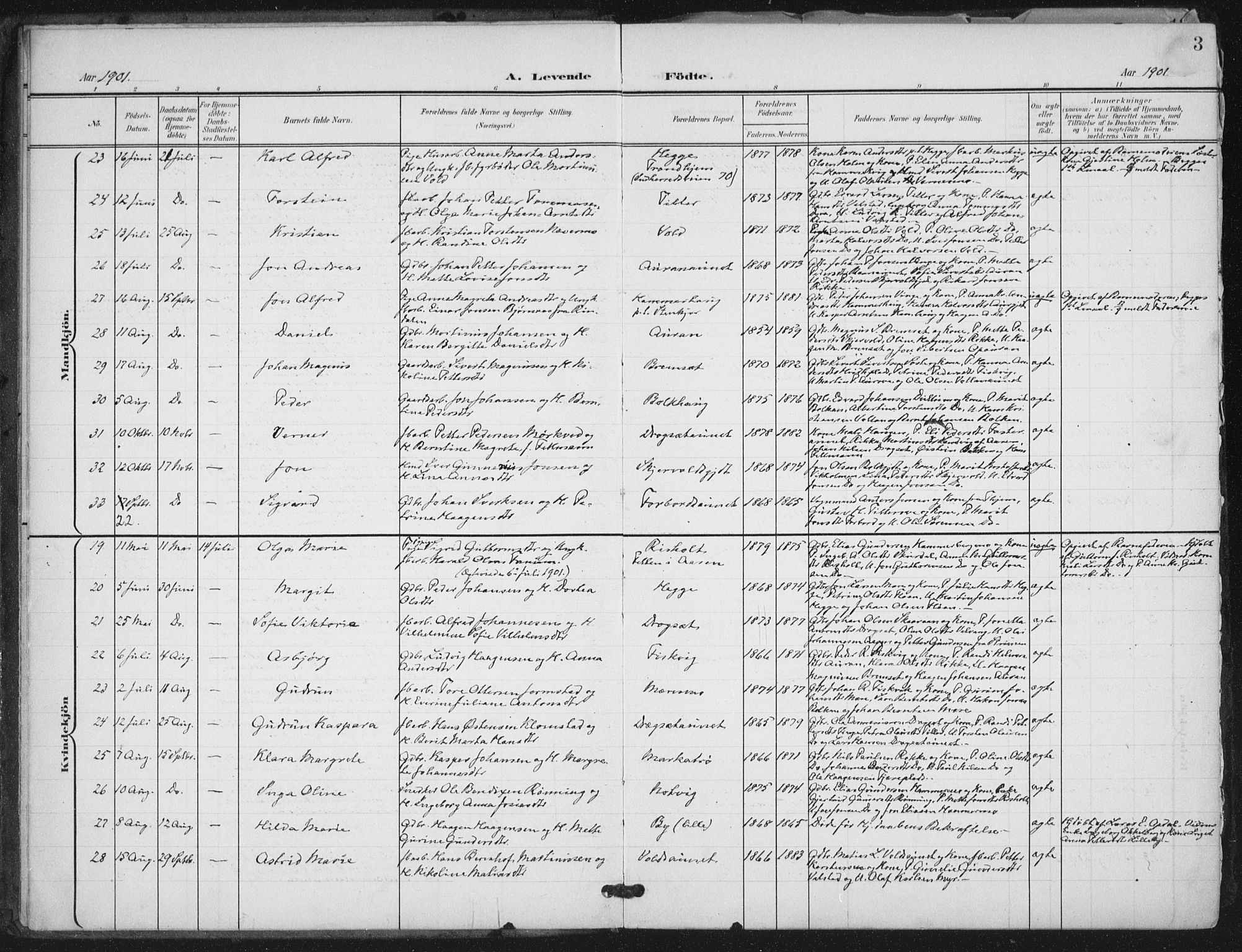 Ministerialprotokoller, klokkerbøker og fødselsregistre - Nord-Trøndelag, AV/SAT-A-1458/712/L0101: Parish register (official) no. 712A02, 1901-1916, p. 3