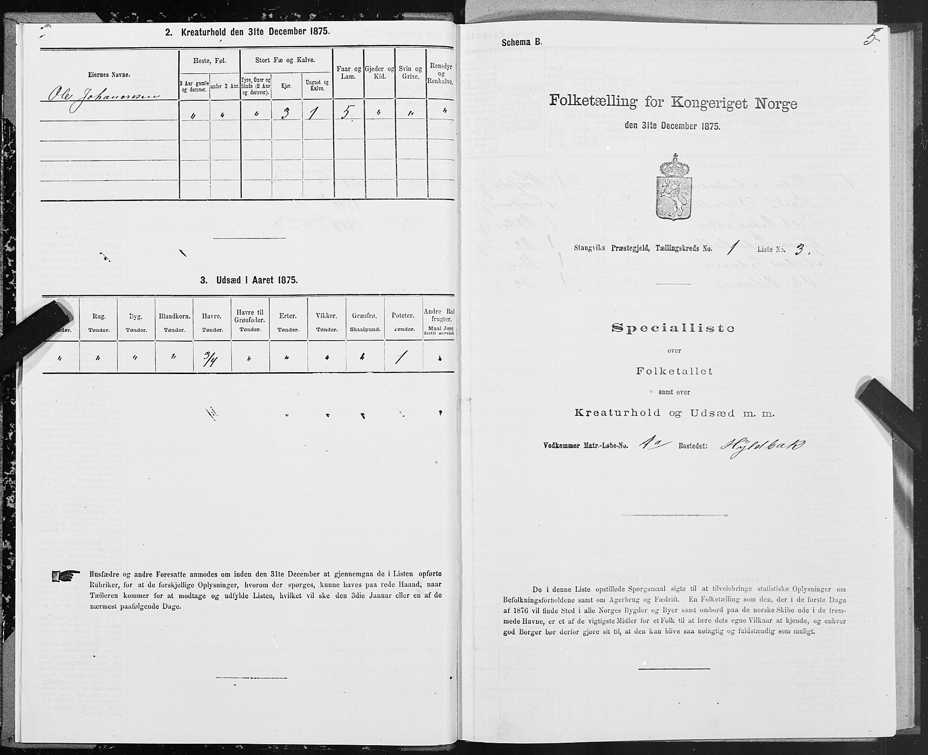 SAT, 1875 census for 1564P Stangvik, 1875, p. 1005