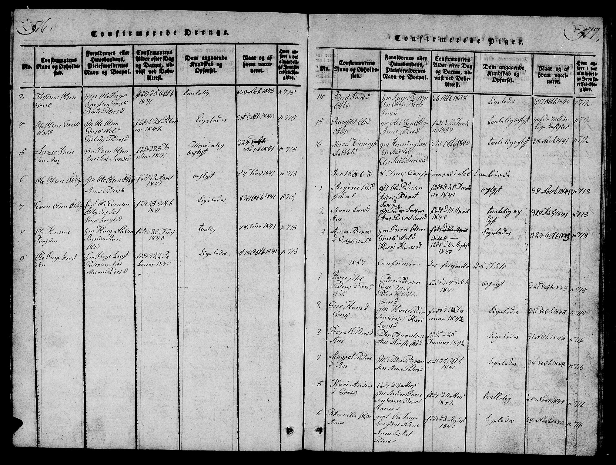 Ministerialprotokoller, klokkerbøker og fødselsregistre - Sør-Trøndelag, SAT/A-1456/698/L1164: Parish register (copy) no. 698C01, 1816-1861, p. 516-517