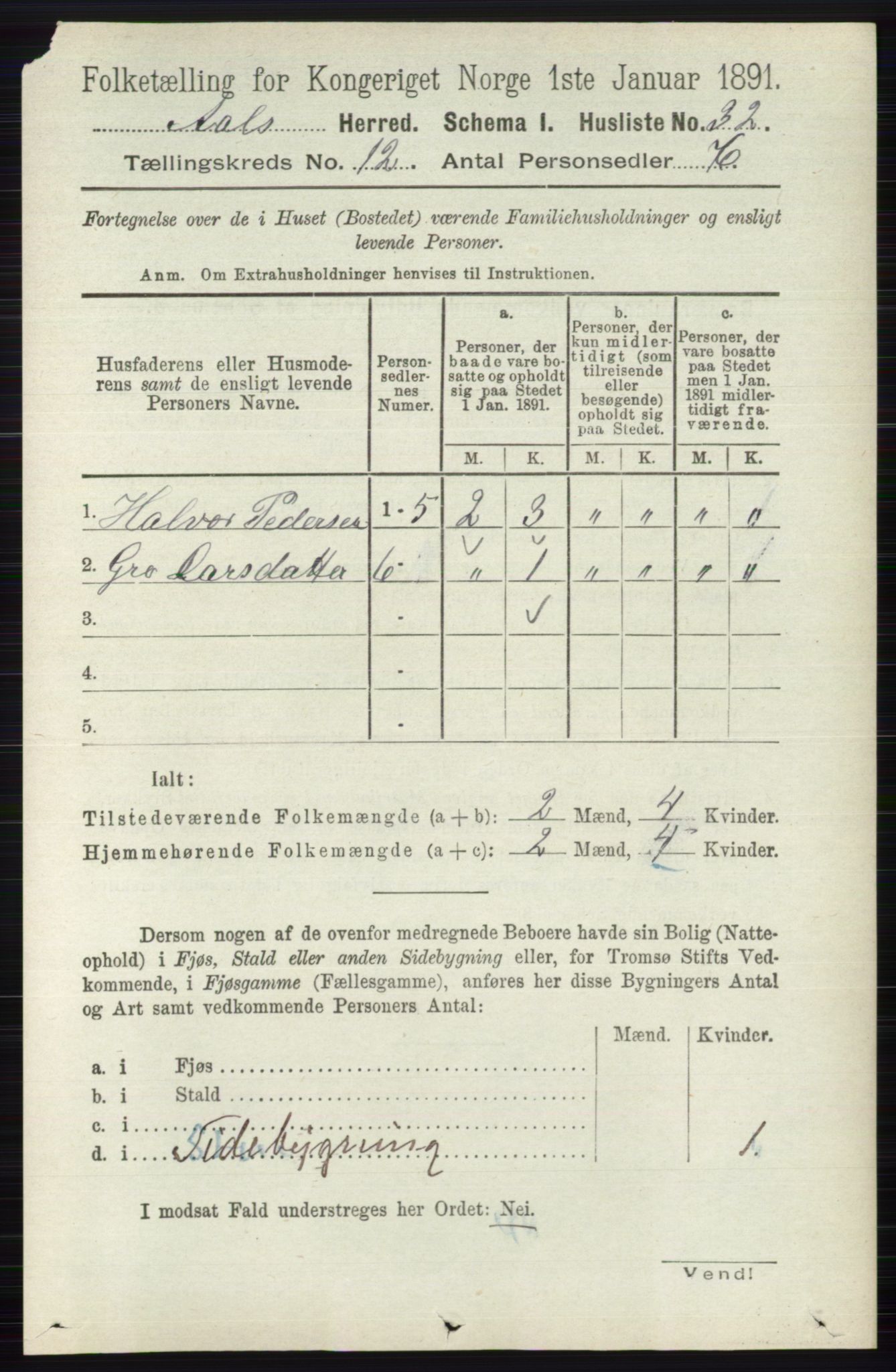 RA, 1891 census for 0619 Ål, 1891, p. 3001