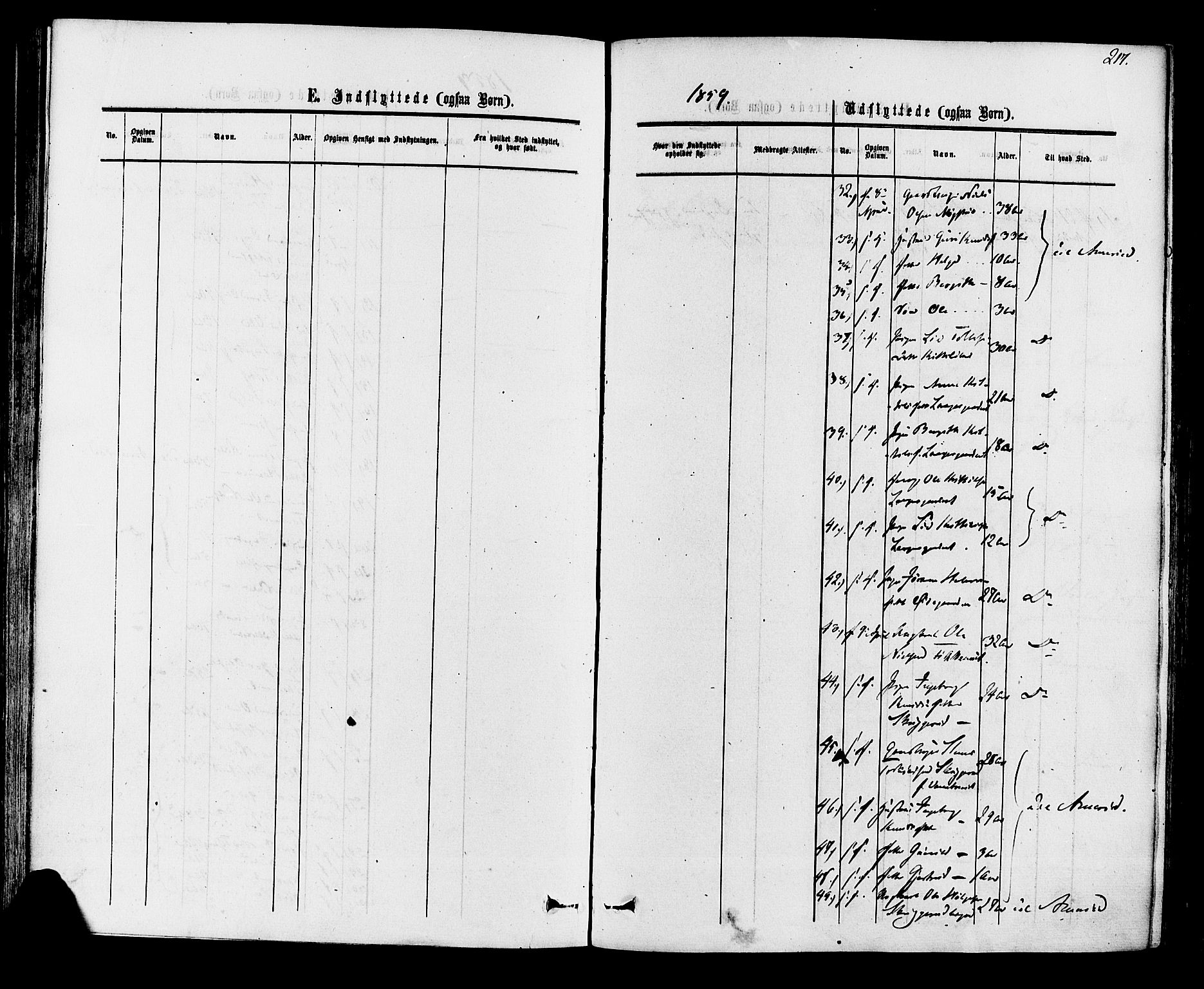 Rollag kirkebøker, AV/SAKO-A-240/F/Fa/L0009: Parish register (official) no. I 9, 1860-1874, p. 217