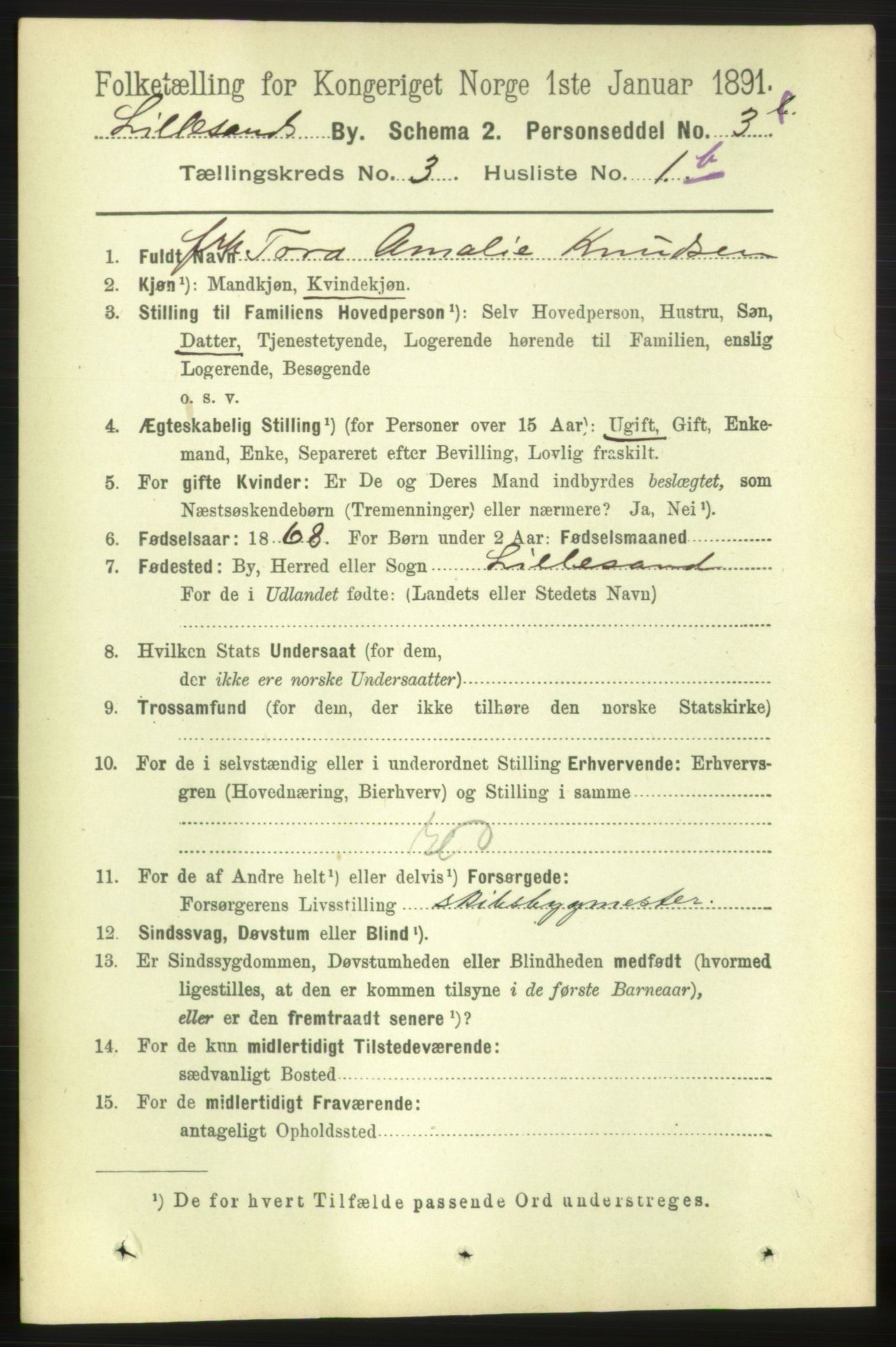 RA, 1891 census for 0905 Lillesand, 1891, p. 644