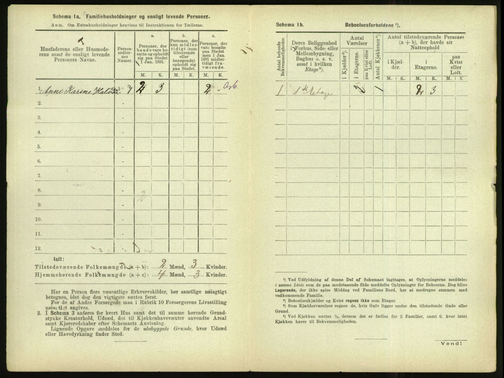 RA, 1891 census for 1102 Sandnes, 1891, p. 28