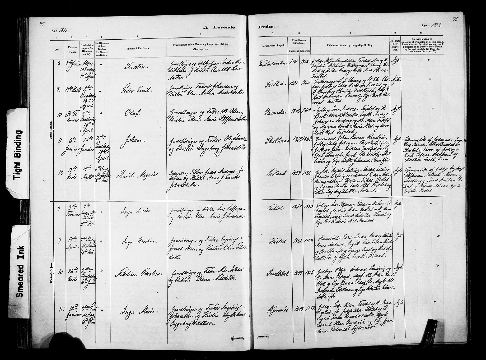 Ministerialprotokoller, klokkerbøker og fødselsregistre - Møre og Romsdal, AV/SAT-A-1454/567/L0778: Parish register (official) no. 567A01, 1881-1903, p. 75