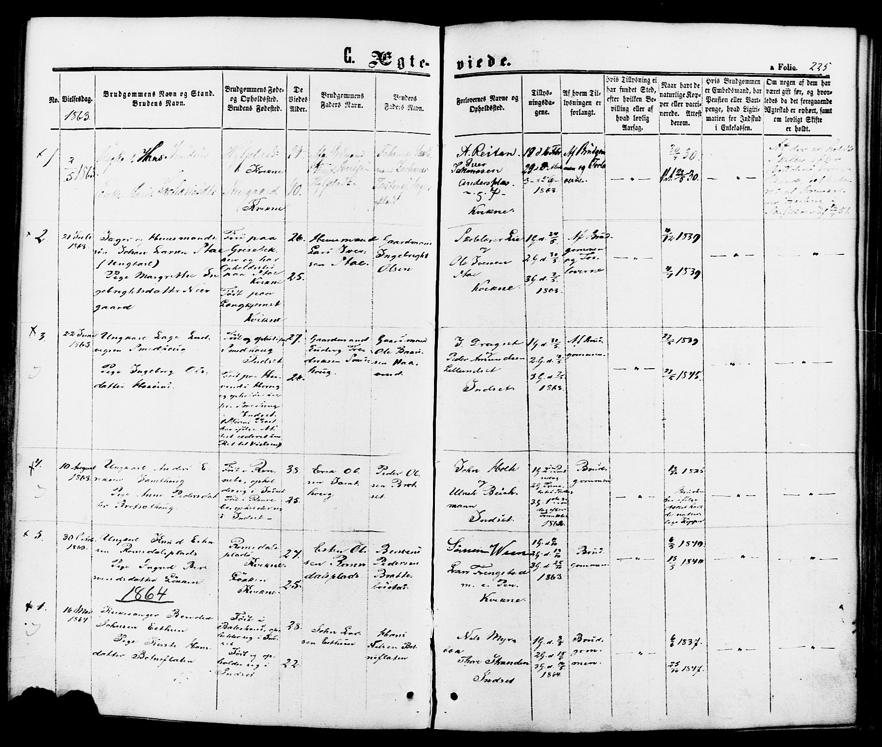 Kvikne prestekontor, SAH/PREST-064/H/Ha/Haa/L0006: Parish register (official) no. 6, 1863-1886, p. 225