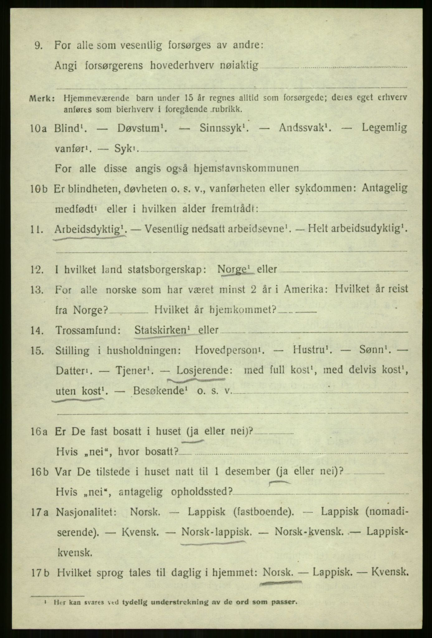 SATØ, 1920 census for Tromsøysund, 1920, p. 10733