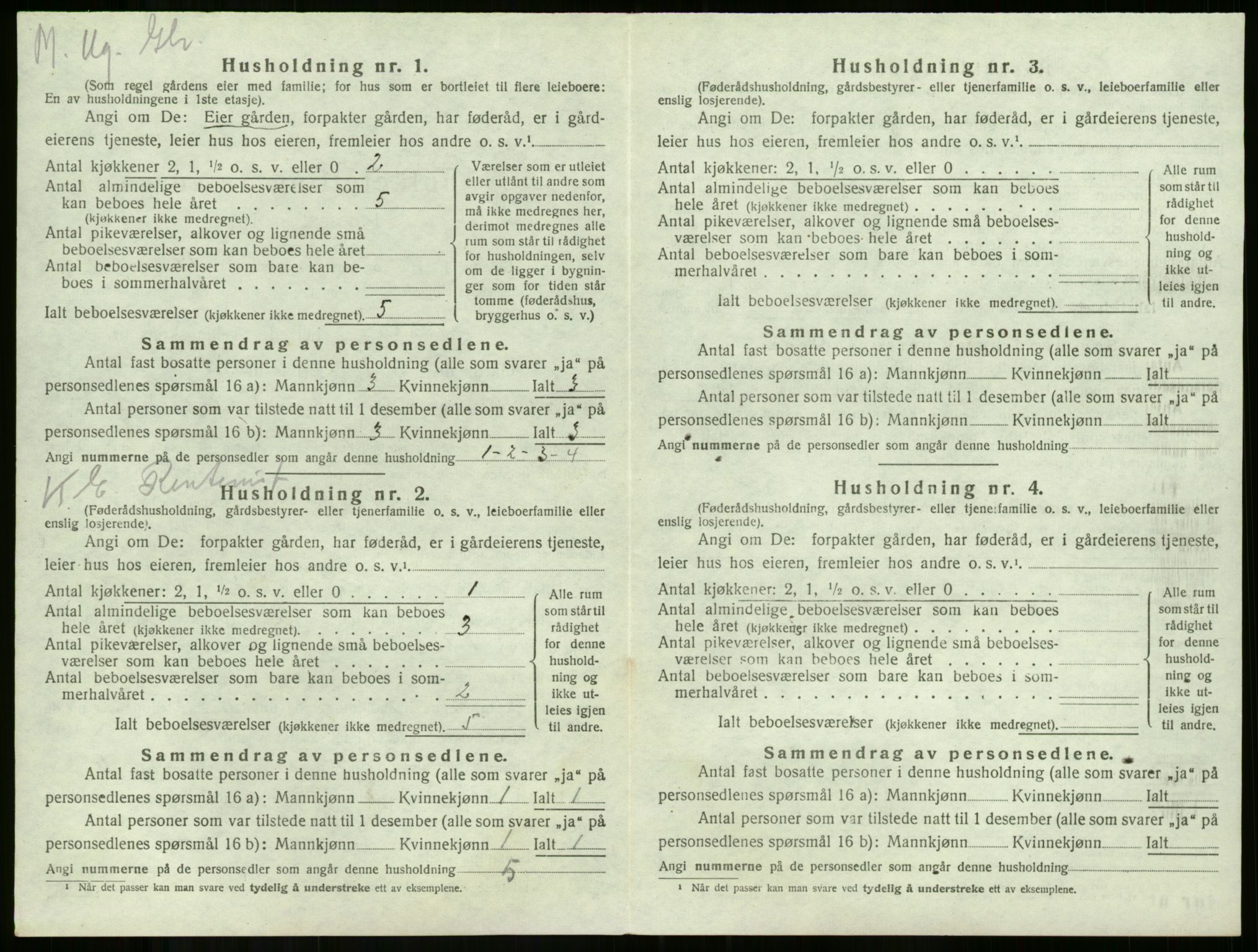 SAKO, 1920 census for Våle, 1920, p. 884