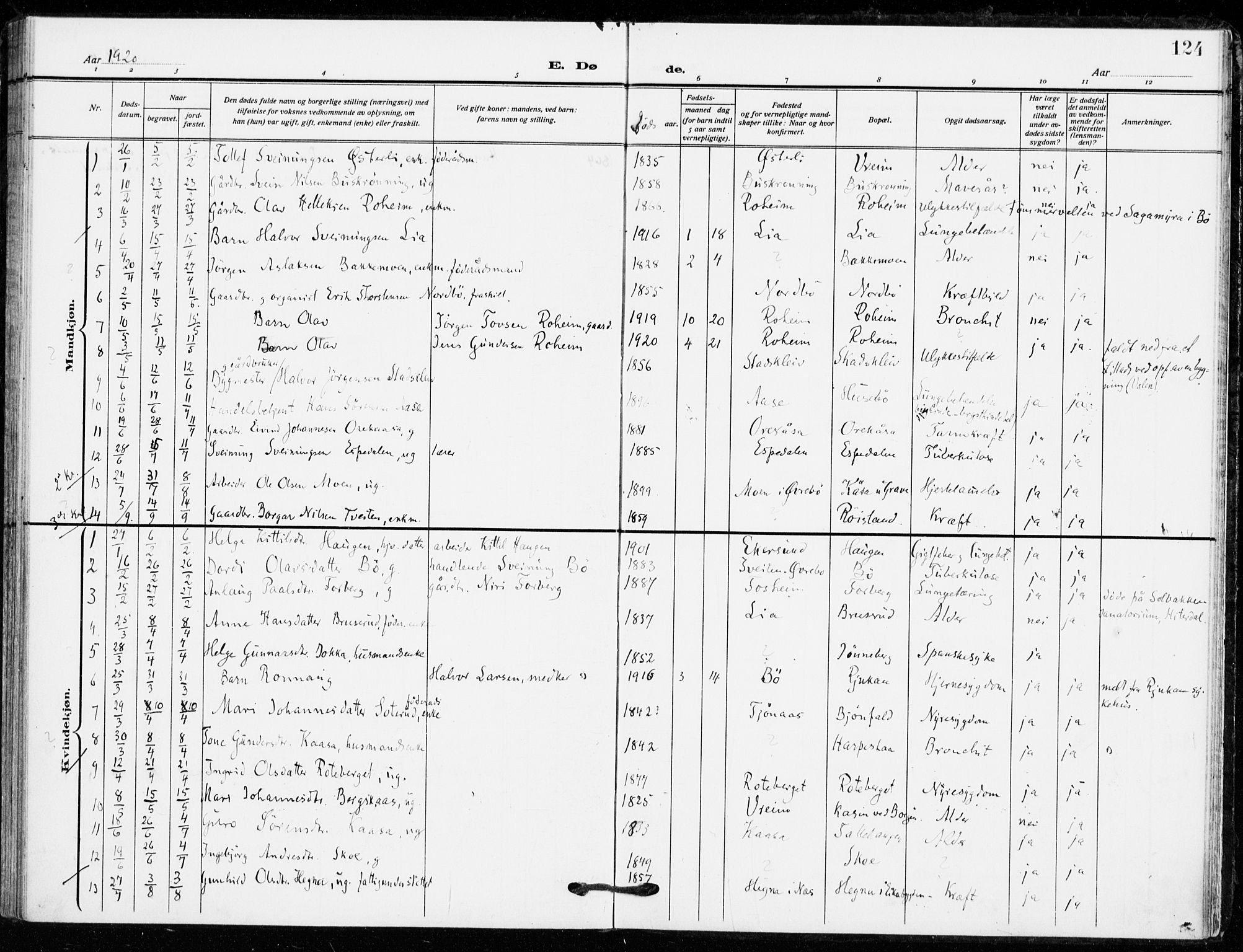 Bø kirkebøker, SAKO/A-257/F/Fa/L0013: Parish register (official) no. 13, 1909-1921, p. 124