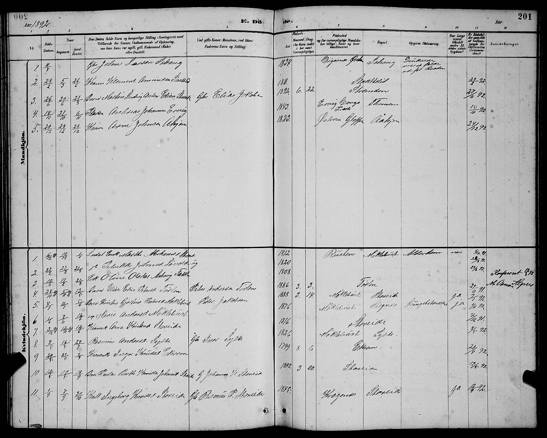 Ministerialprotokoller, klokkerbøker og fødselsregistre - Møre og Romsdal, AV/SAT-A-1454/501/L0017: Parish register (copy) no. 501C03, 1885-1901, p. 201