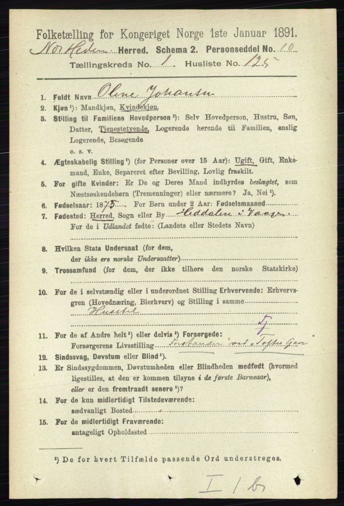RA, 1891 census for 0411 Nes, 1891, p. 904