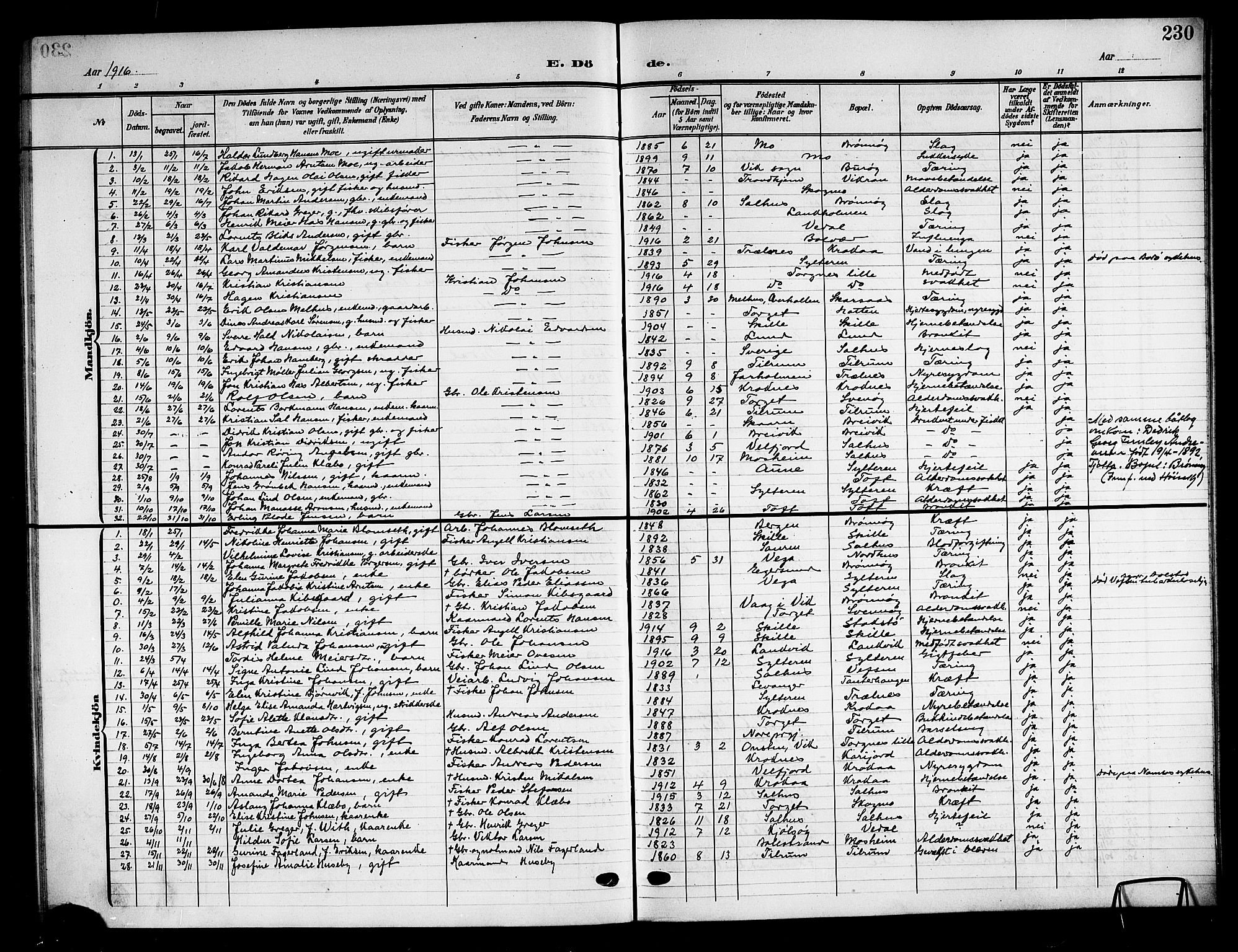 Ministerialprotokoller, klokkerbøker og fødselsregistre - Nordland, SAT/A-1459/813/L0214: Parish register (copy) no. 813C06, 1904-1917, p. 230