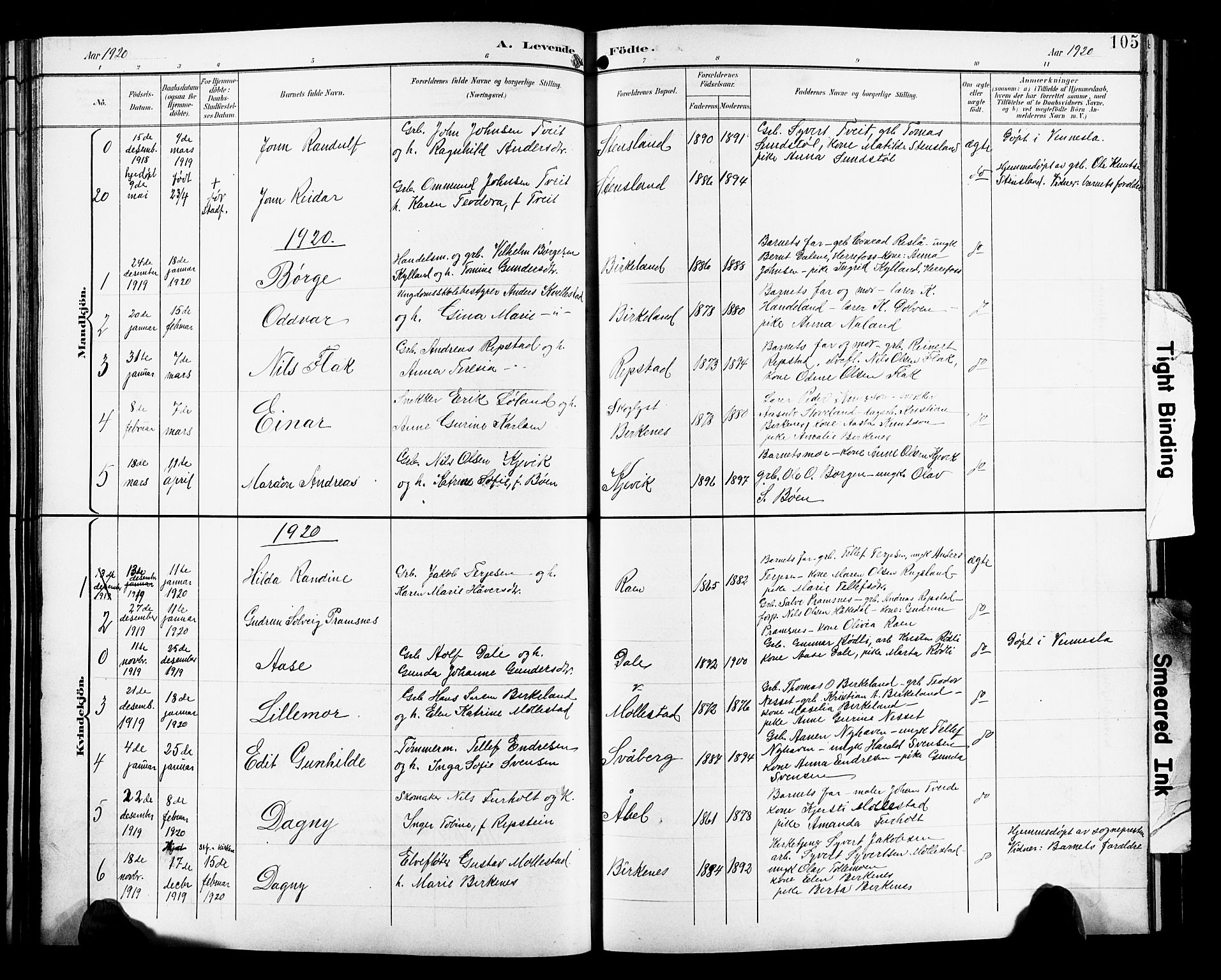 Birkenes sokneprestkontor, SAK/1111-0004/F/Fb/L0004: Parish register (copy) no. B 4, 1893-1930, p. 105