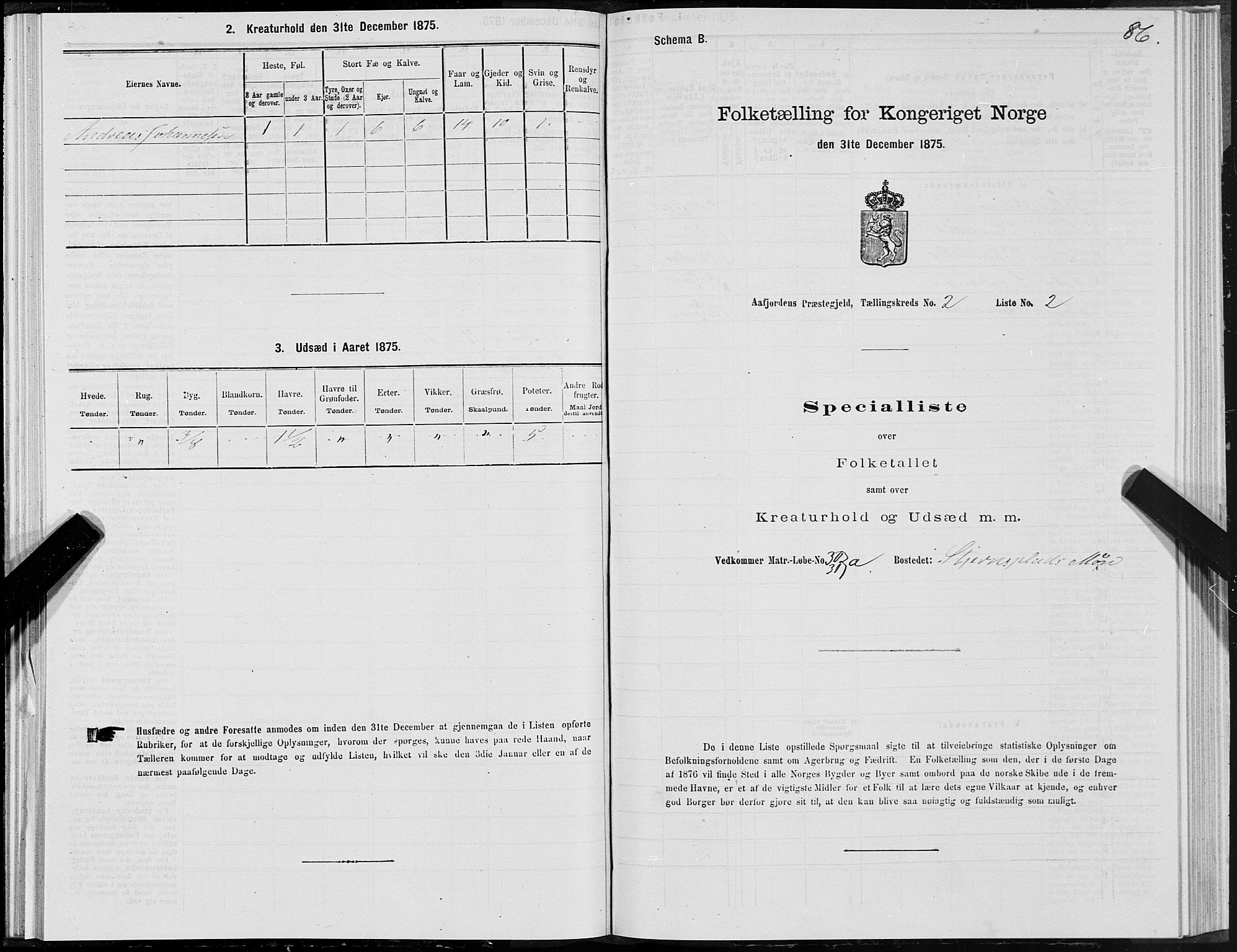 SAT, 1875 census for 1630P Aafjorden, 1875, p. 1086