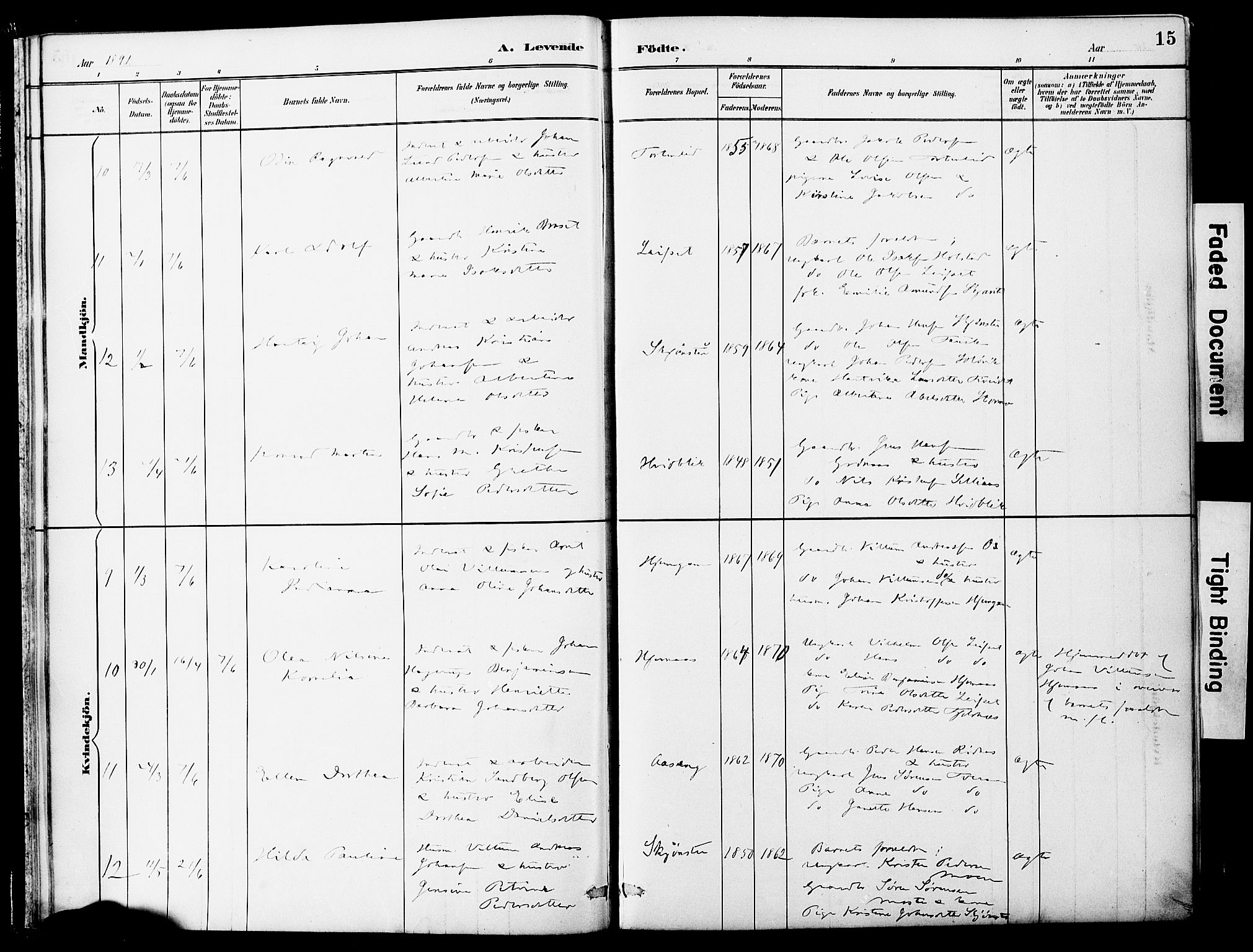 Ministerialprotokoller, klokkerbøker og fødselsregistre - Nordland, SAT/A-1459/849/L0690: Parish register (official) no. 849A02, 1890-1897, p. 15