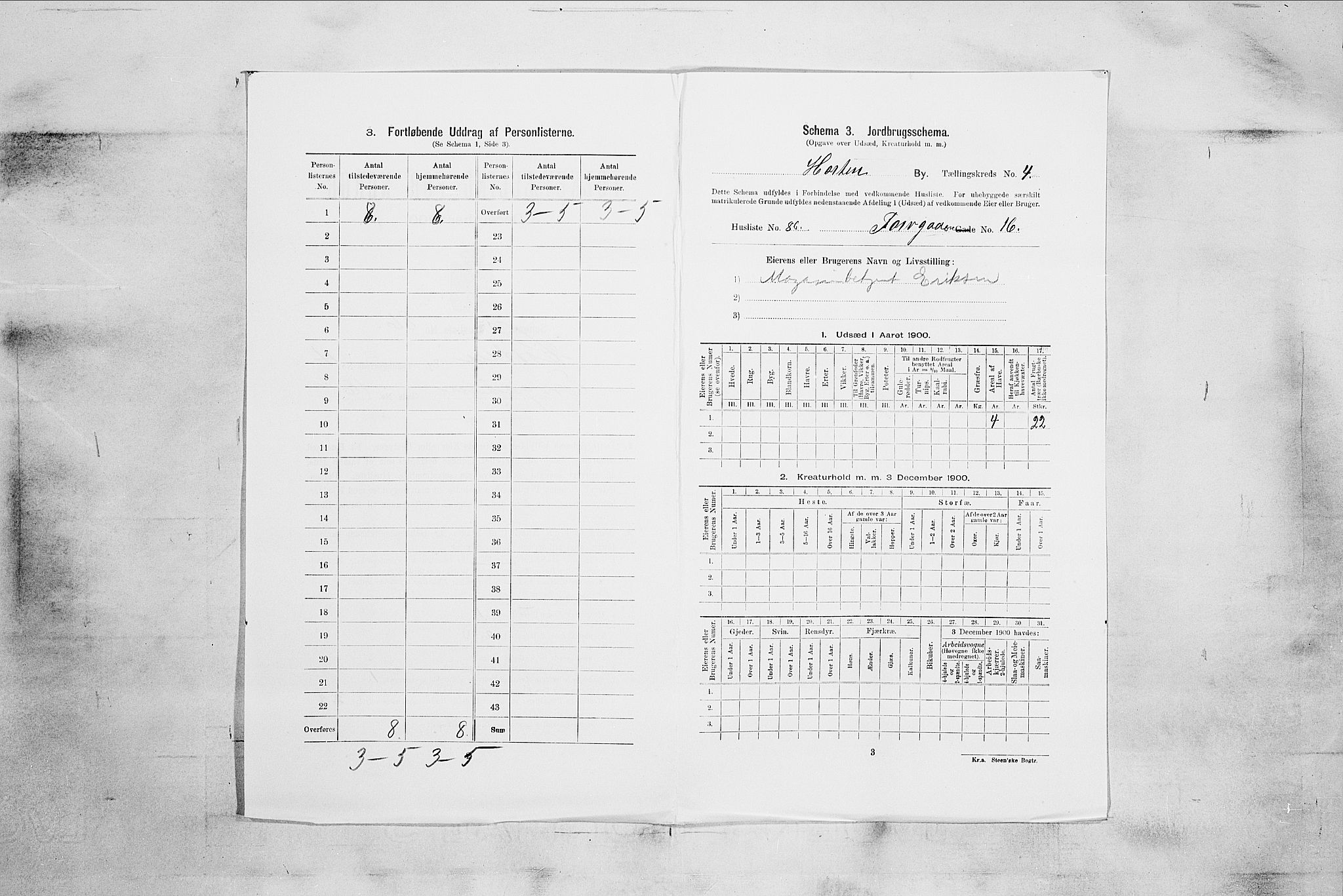 RA, 1900 census for Horten, 1900, p. 3069